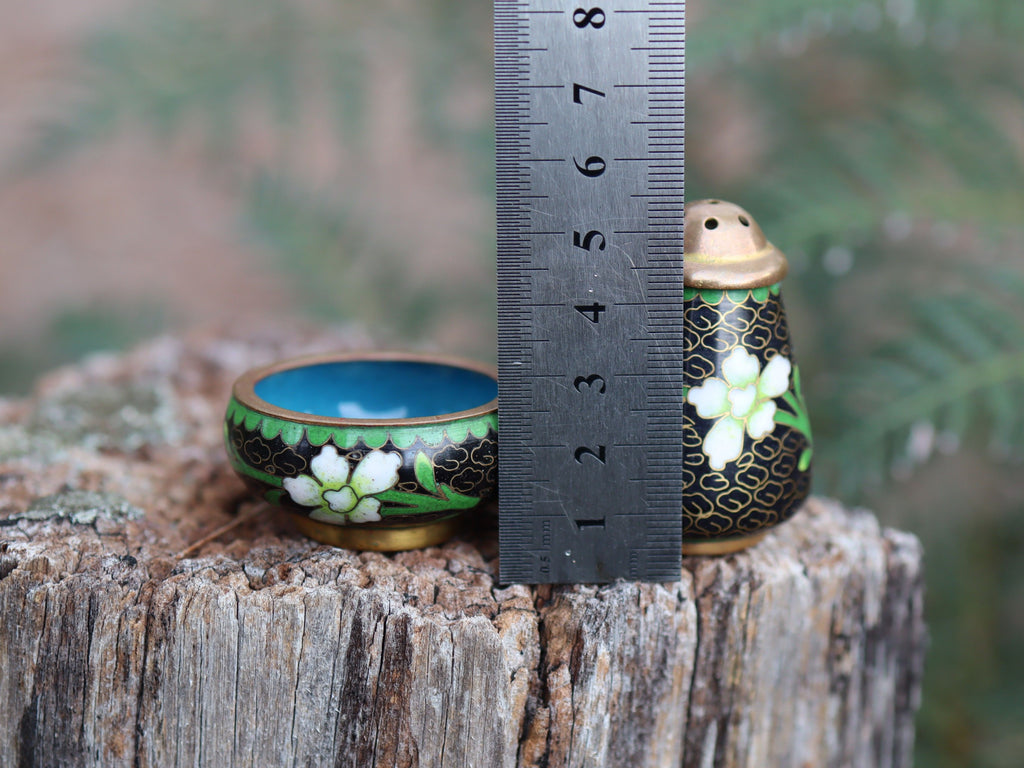 Cloisonne Salt and Pepper