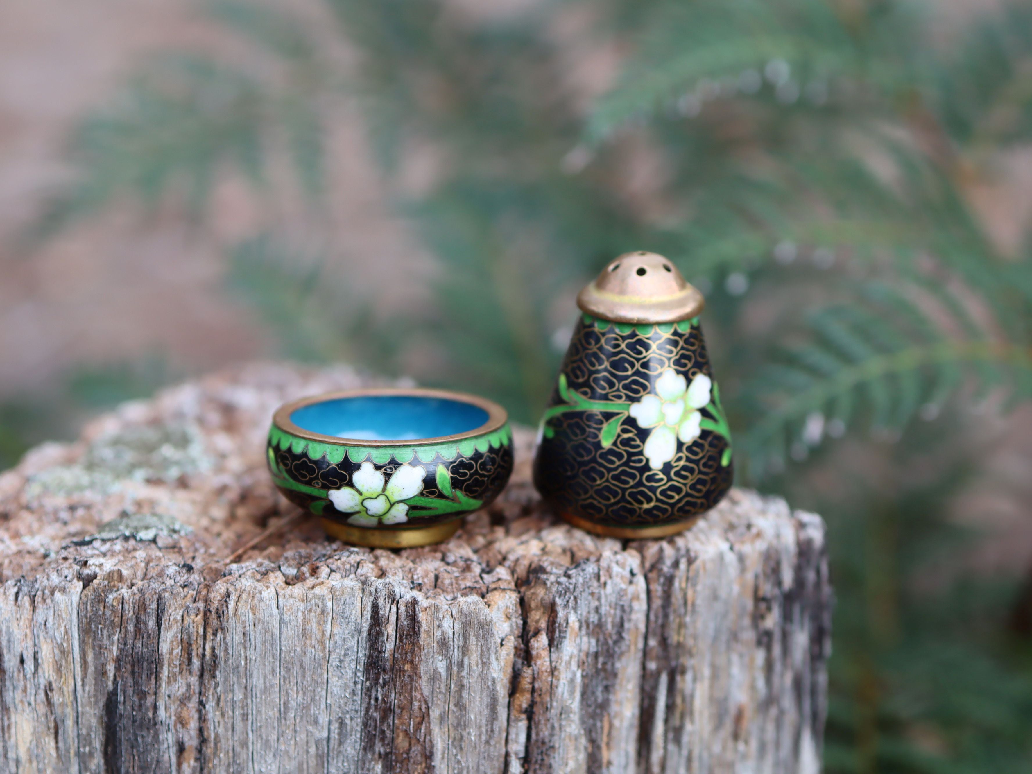 Cloisonne Salt and Pepper