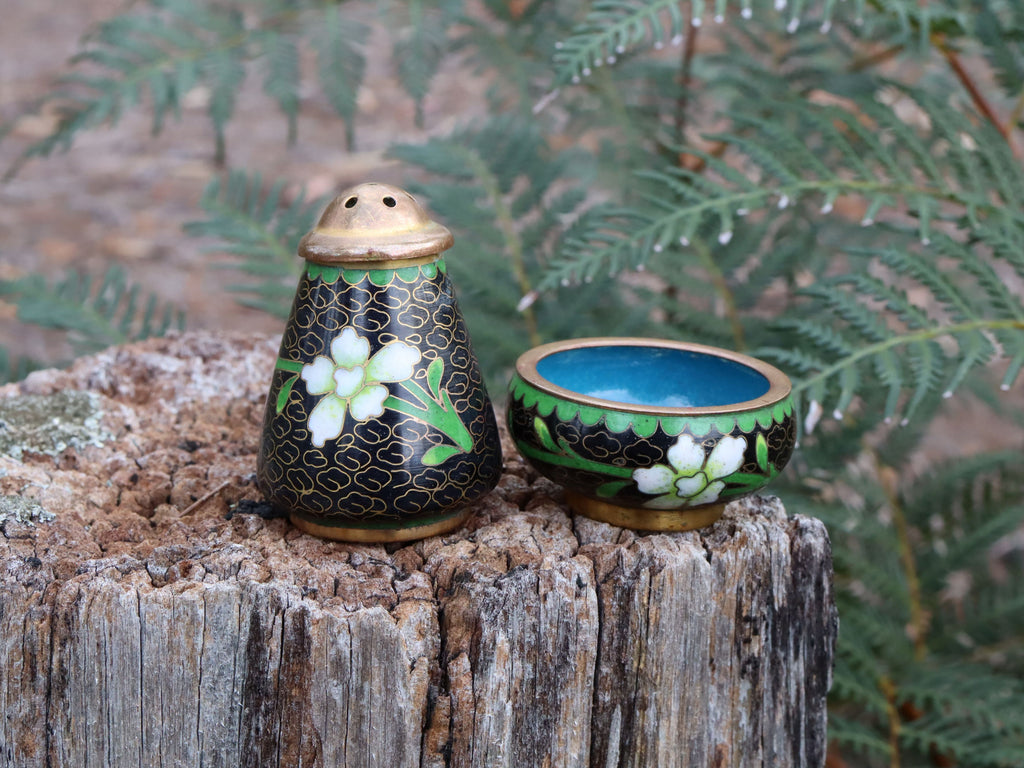 Cloisonne Salt and Pepper