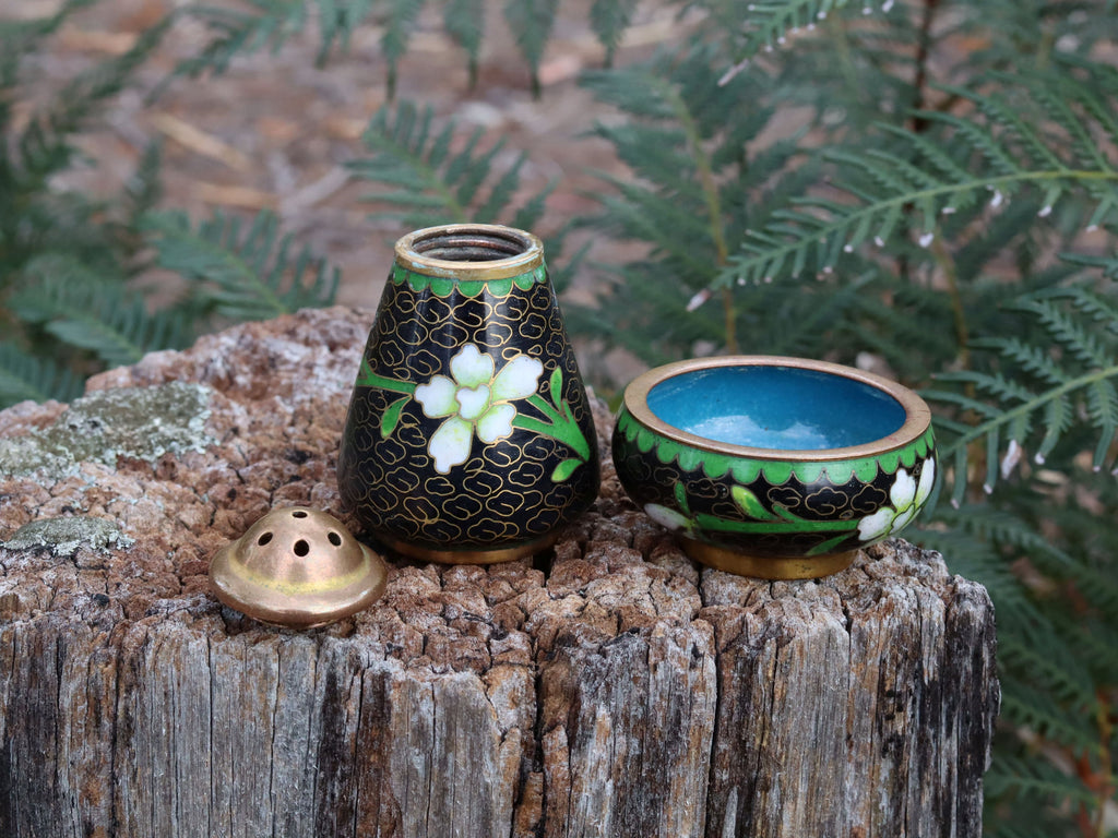 Cloisonne Salt and Pepper