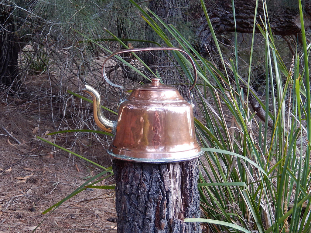 Copper Kettle with Brass Spout c.1900