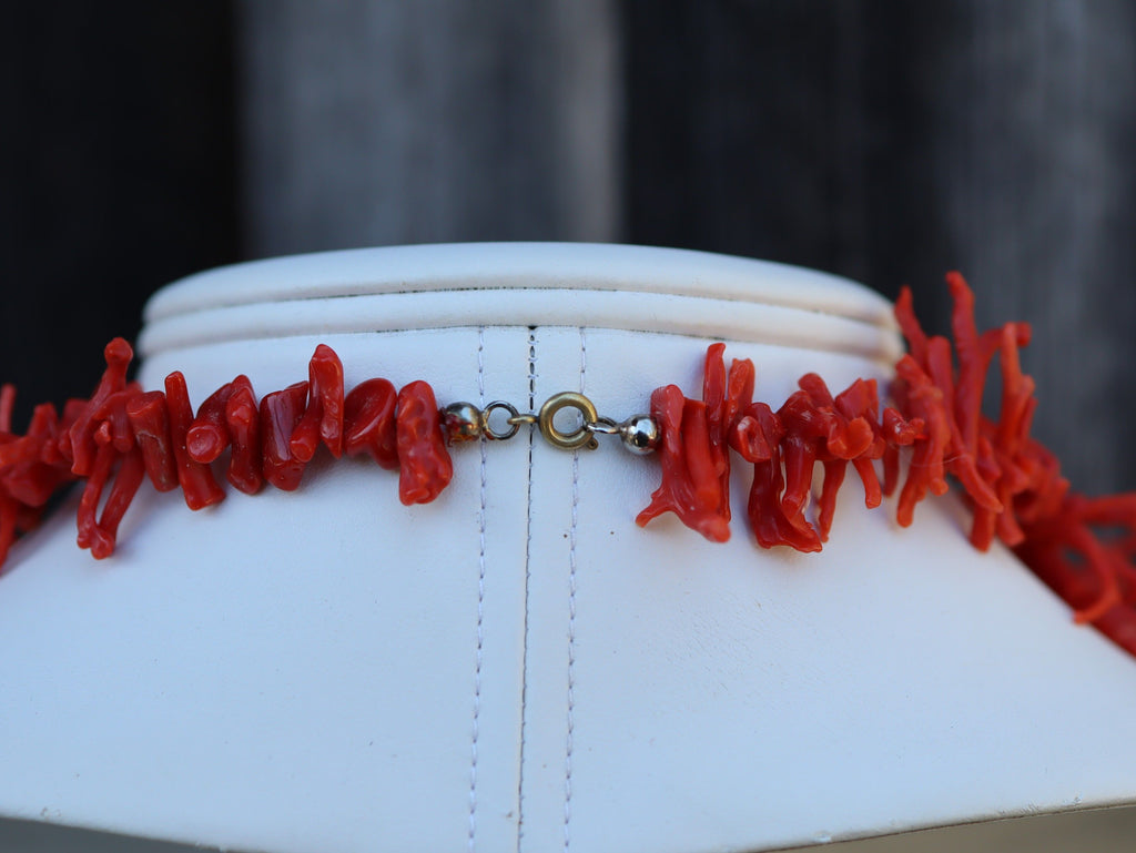 Red Coral