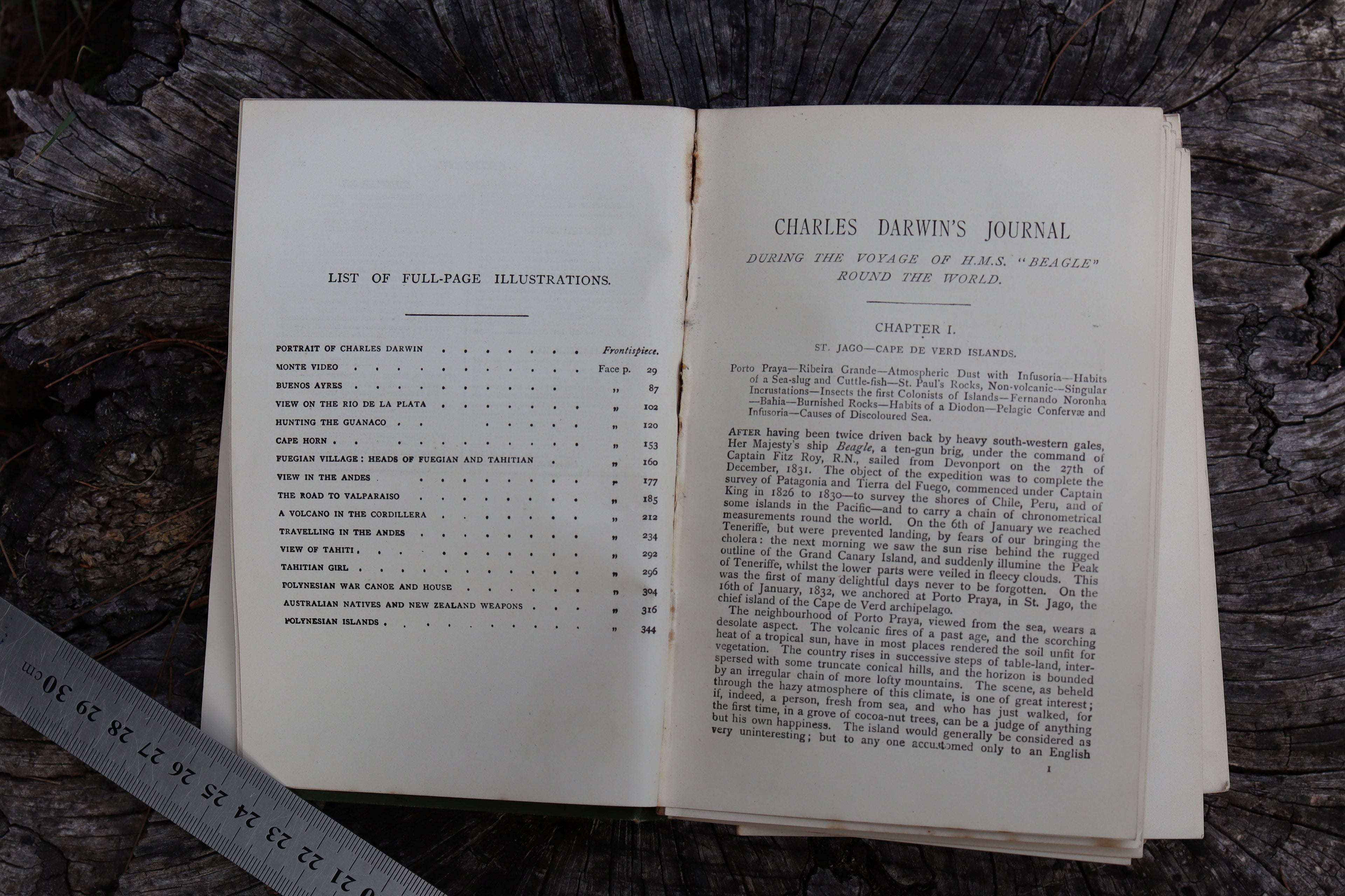 Darwin's Journal During the Voyage of HMS Beagle 1890