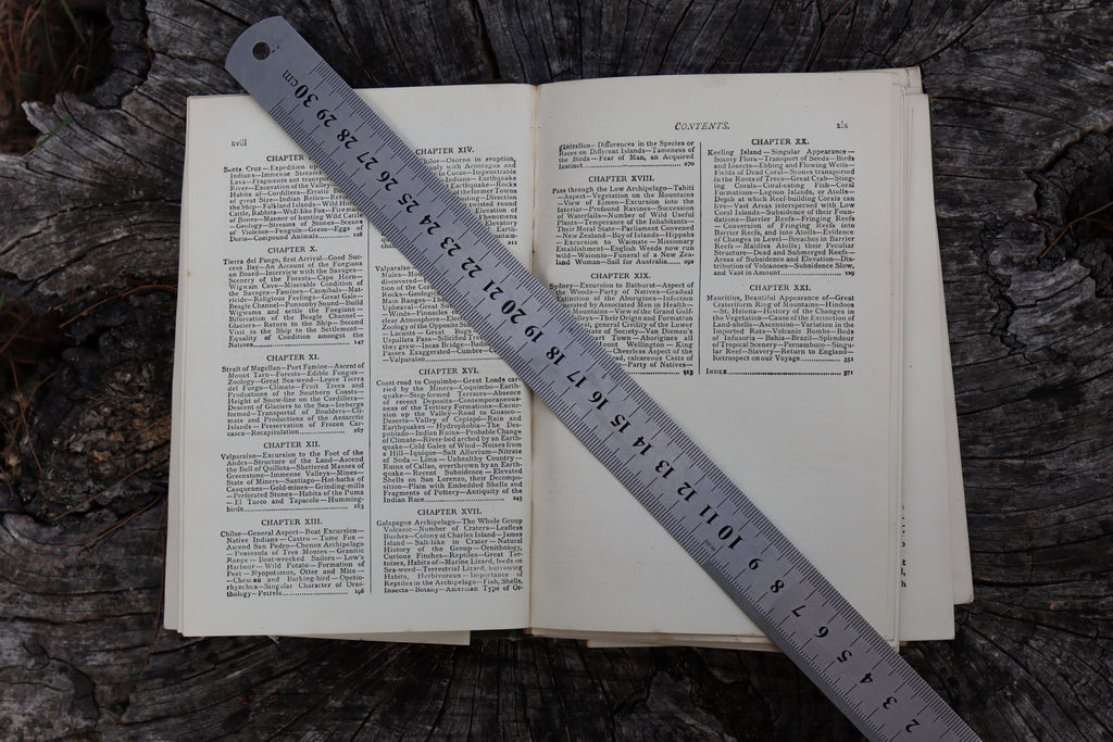 Darwin's Journal During the Voyage of HMS Beagle 1890