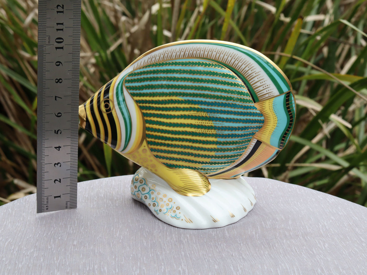 Royal Crown Derby