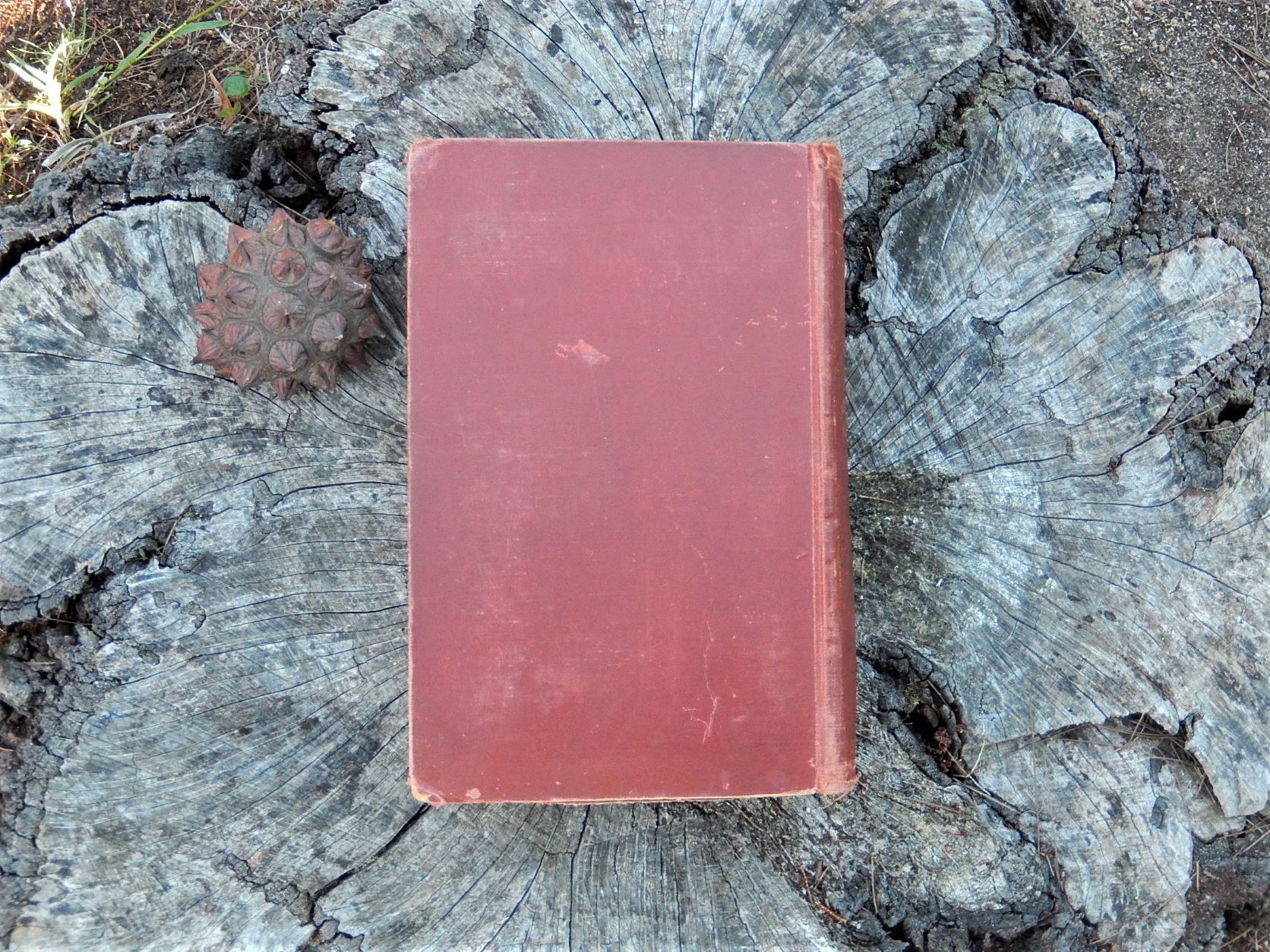Emin Pasha by A.J. Mounteney-Jephson