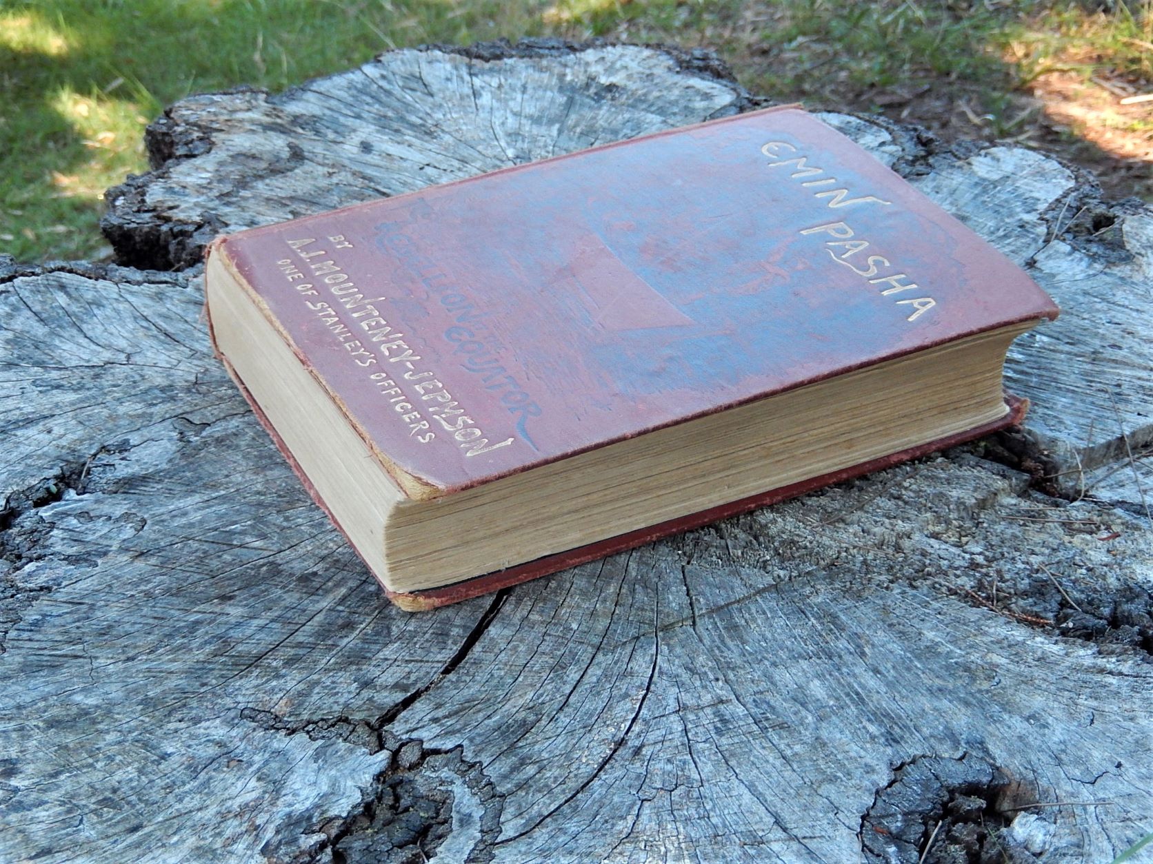 Emin Pasha by A.J. Mounteney-Jephson