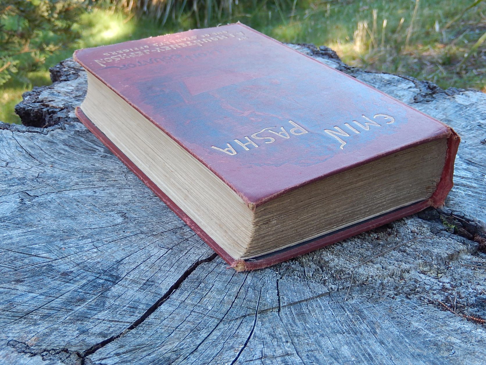 Emin Pasha by A.J. Mounteney-Jephson