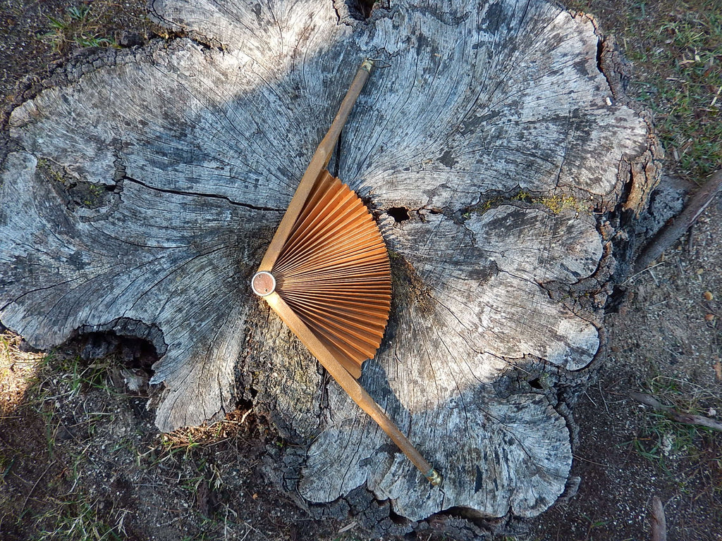 Brown Fan c.1900