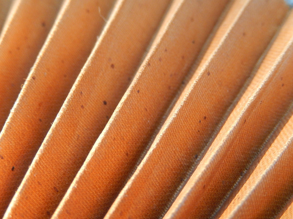 Brown Fan c.1900