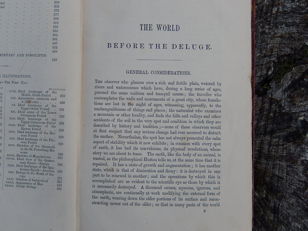 "The World Before The Deluge" by Louis Figuier 1869
