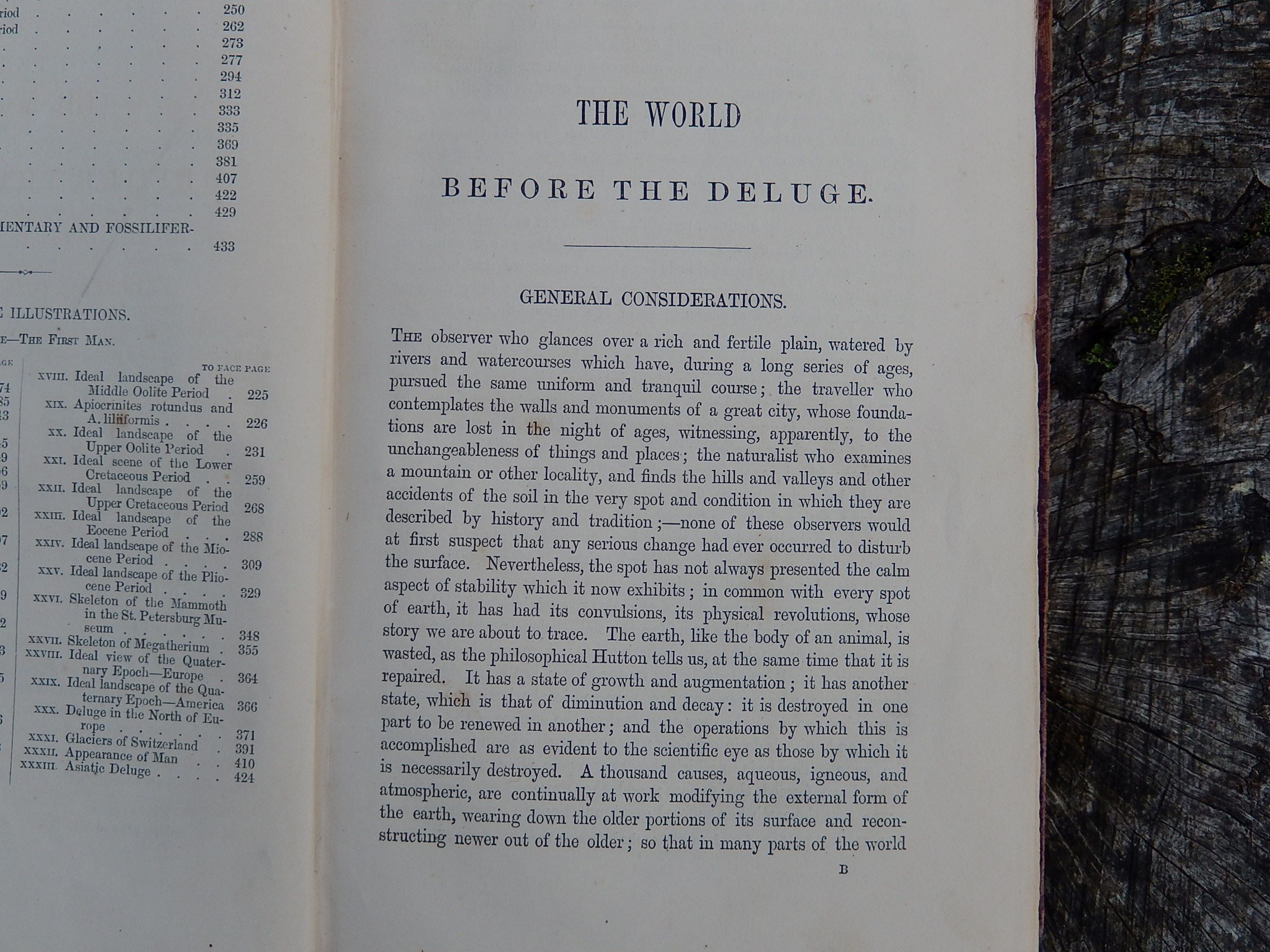 "The World Before The Deluge" by Louis Figuier 1869
