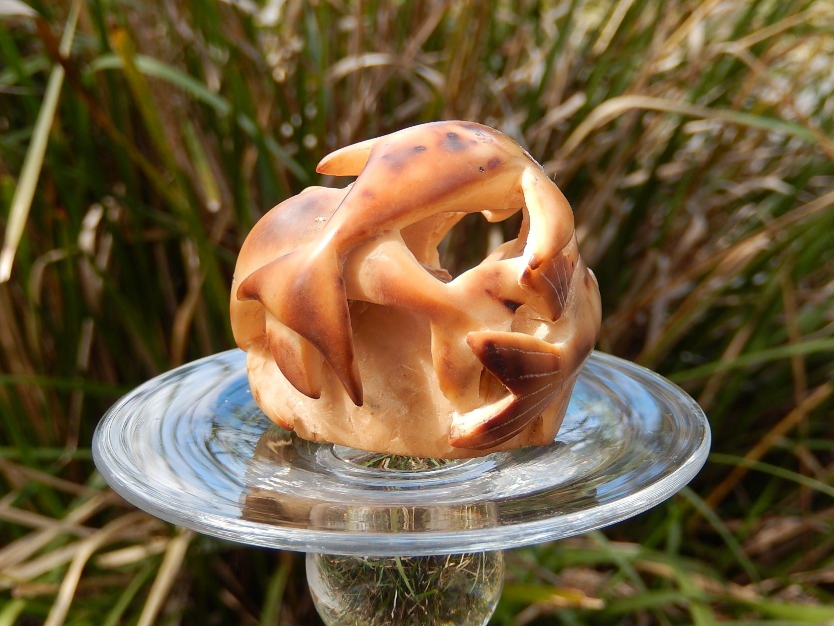 Carved Horn Sculpture