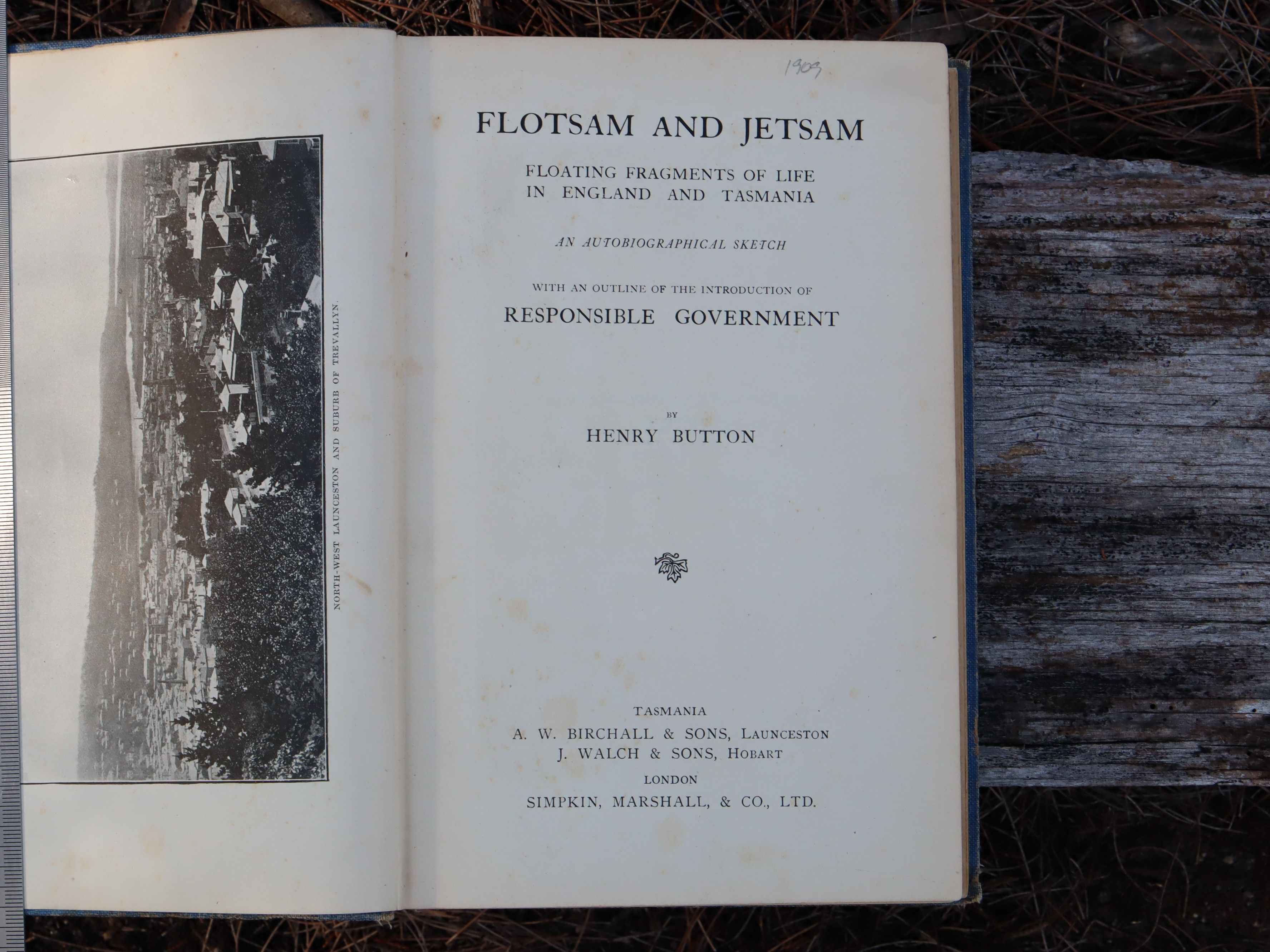 Flotsam and Jetsam by Henry Button
