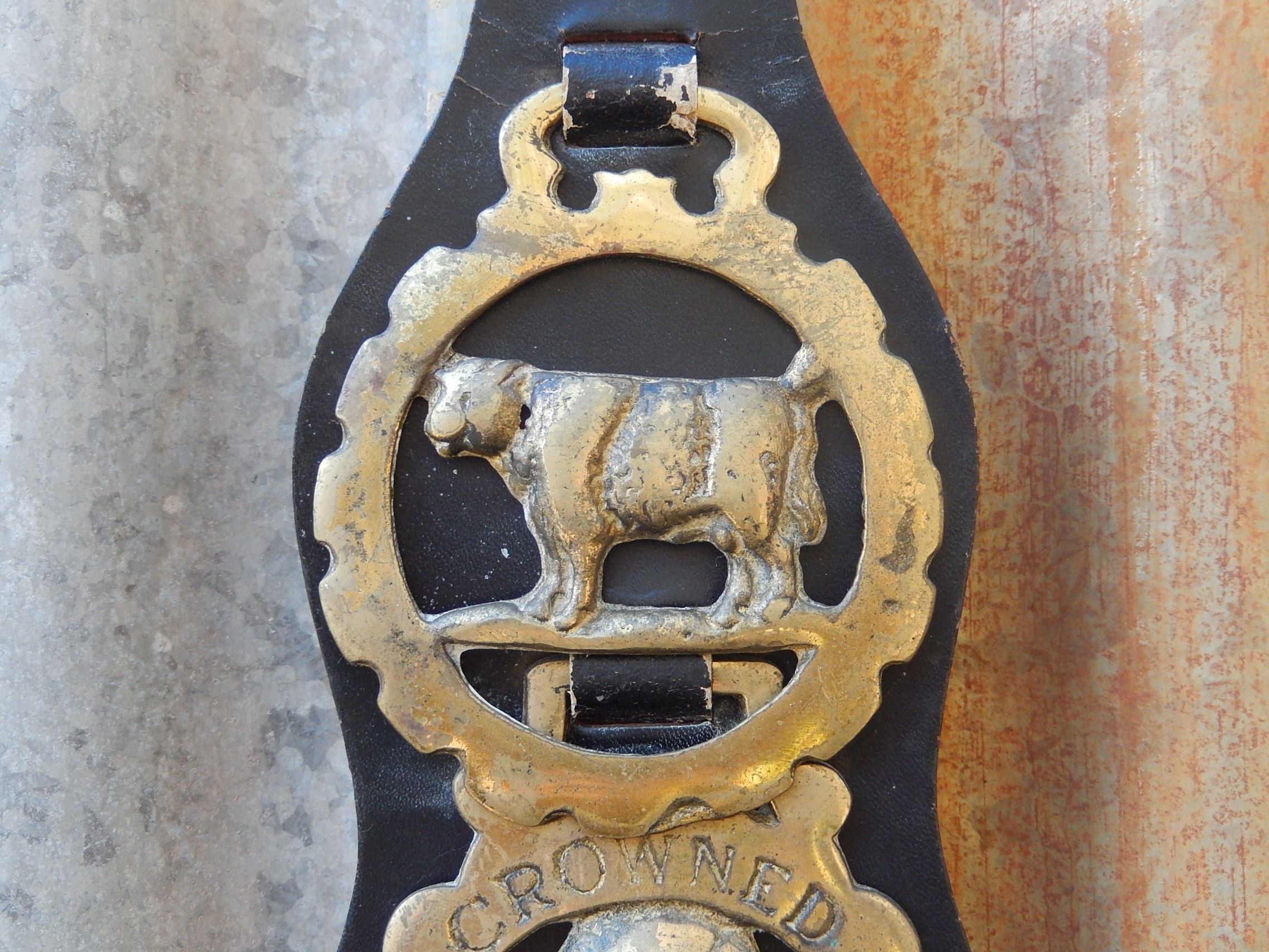 Horse Brass on Hanger