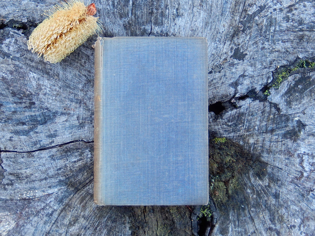 "History of the Inquisition from its establishment to the present time" Published in 1850