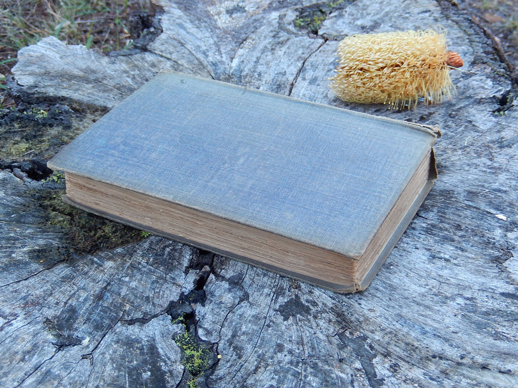 "History of the Inquisition from its establishment to the present time" Published in 1850
