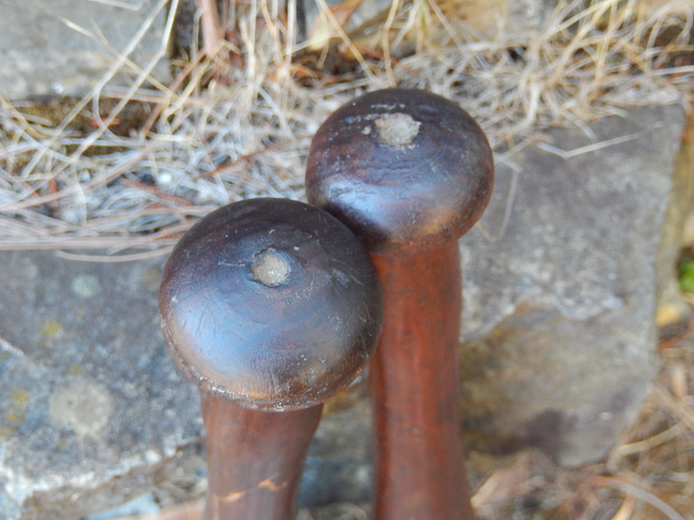 Pair of Oak Juggling Clubs c.1900