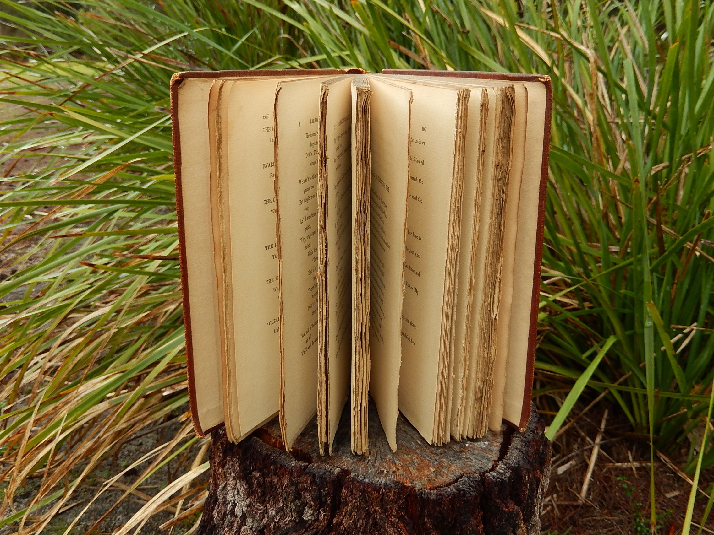 Barrack-Room Ballads' by Rudyard Kipling 1897