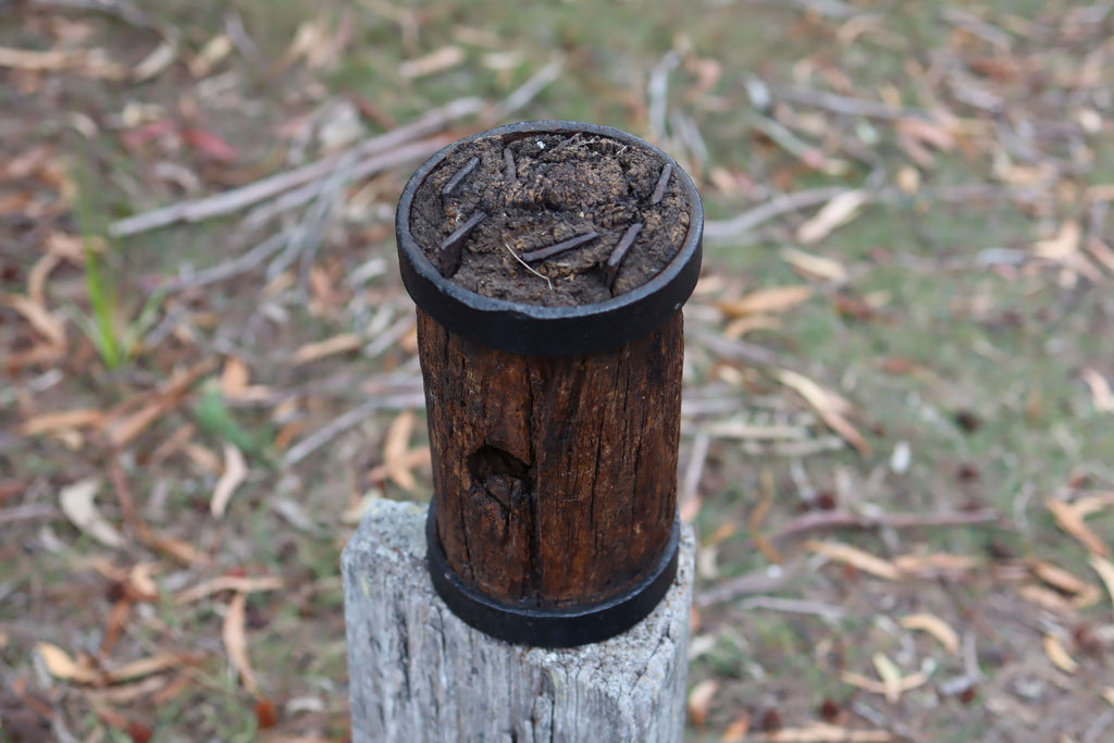 Tasmanian Convict Era Mallet Head c.1880