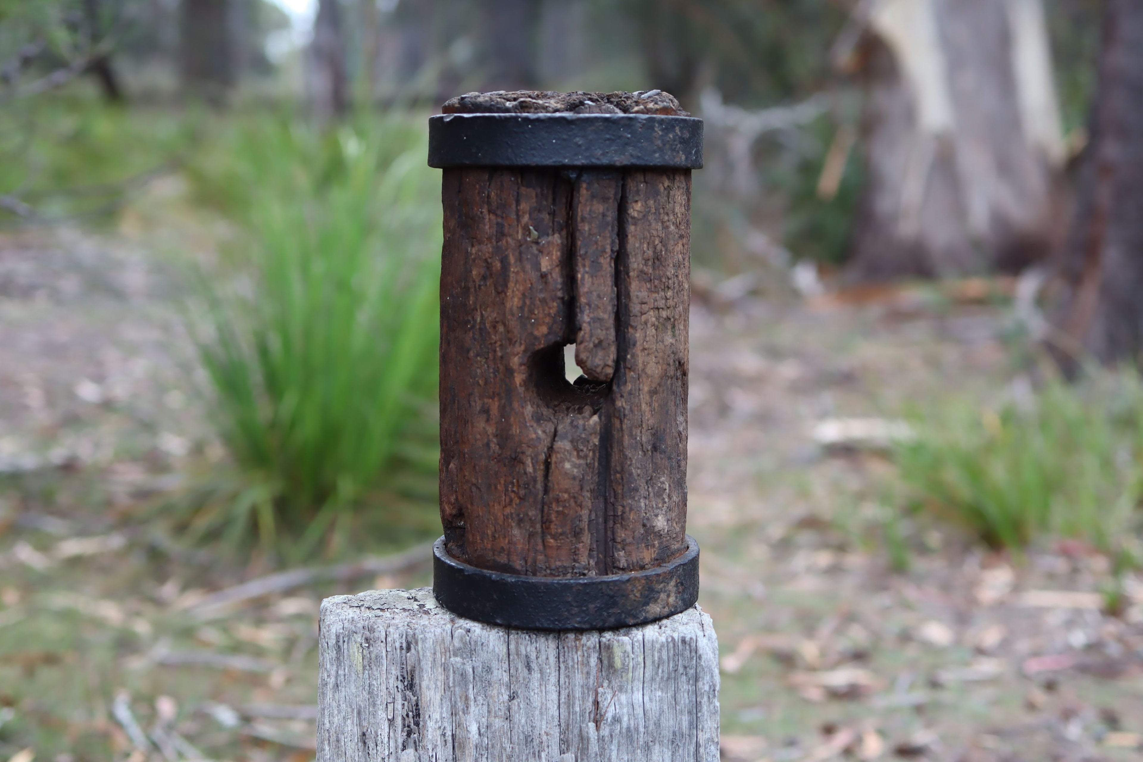 Tasmanian Convict Era Mallet Head c.1880