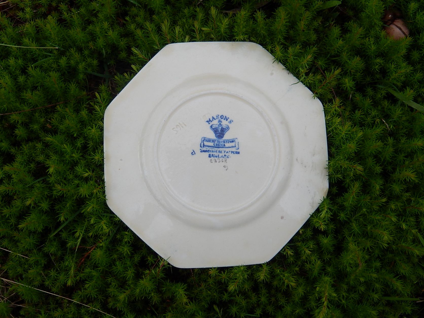 Mason's Plate c.1880
