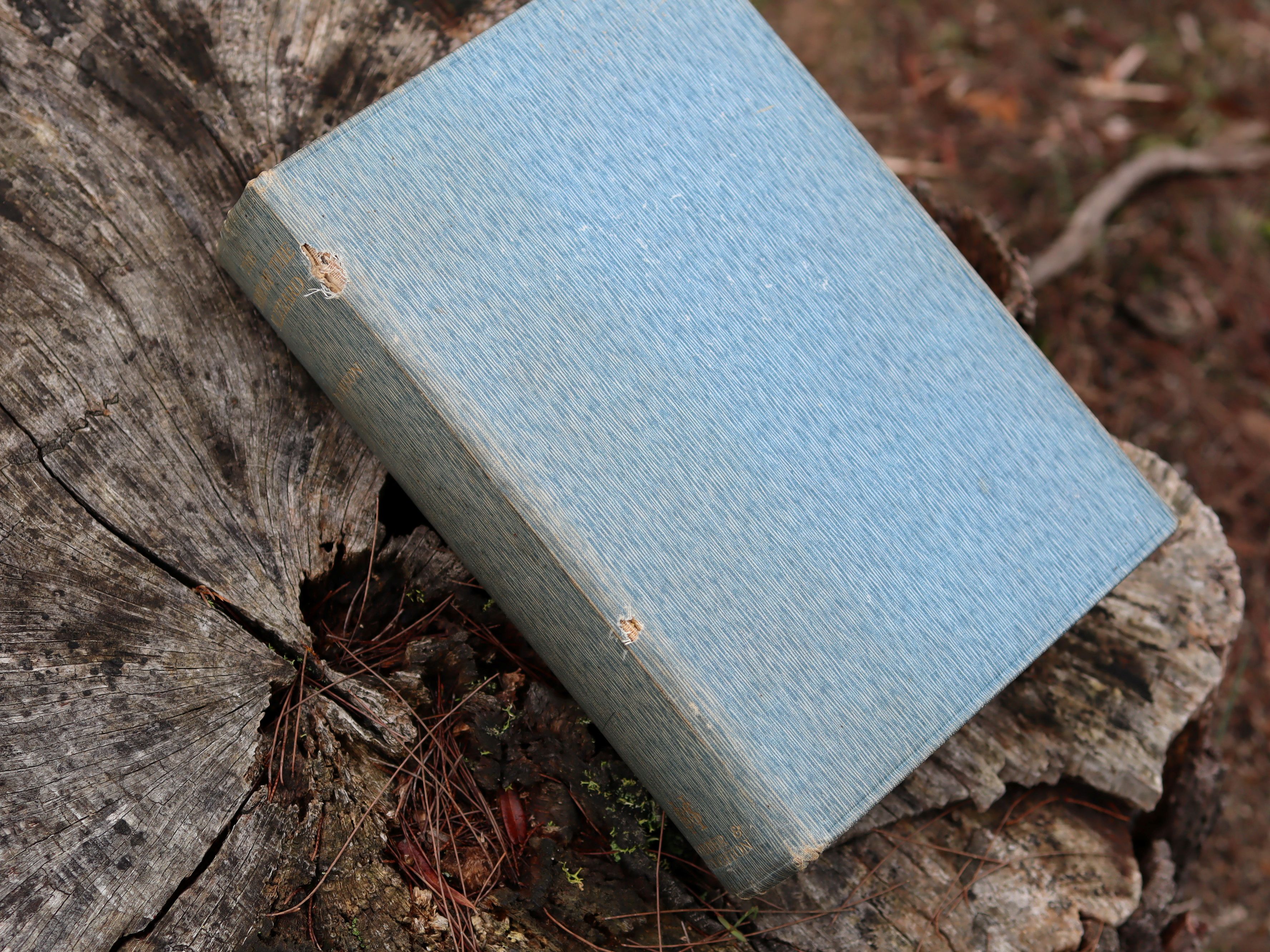 The Home of the Blizzard by Sir Douglas Mawson, First Edition