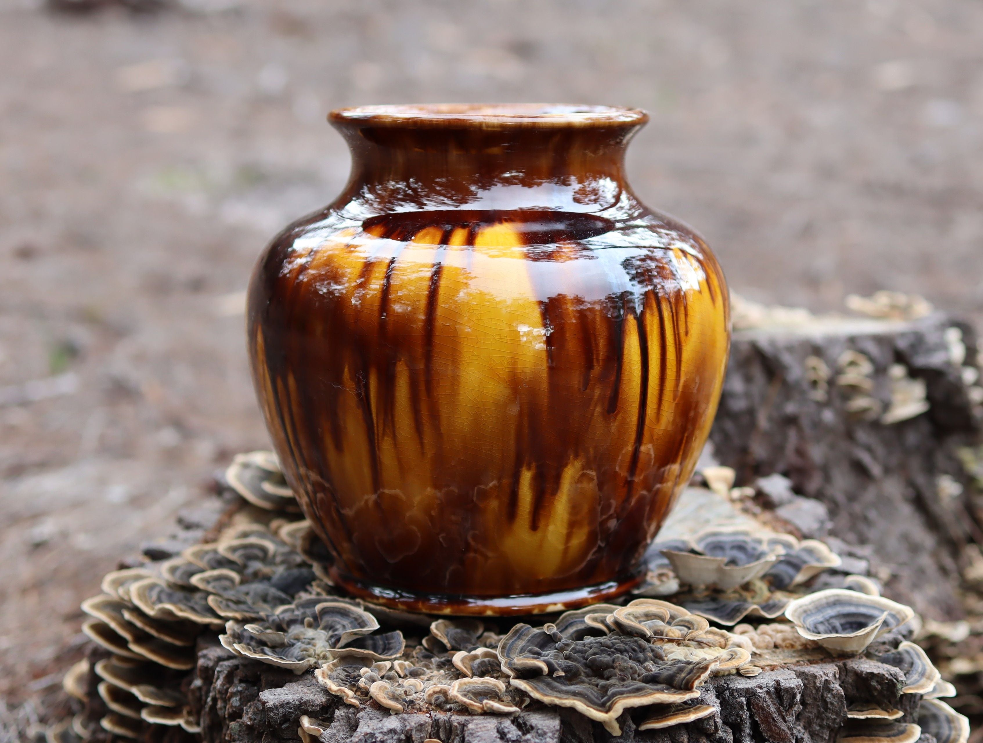 H McHugh Tasmania 1935 #22 Vase