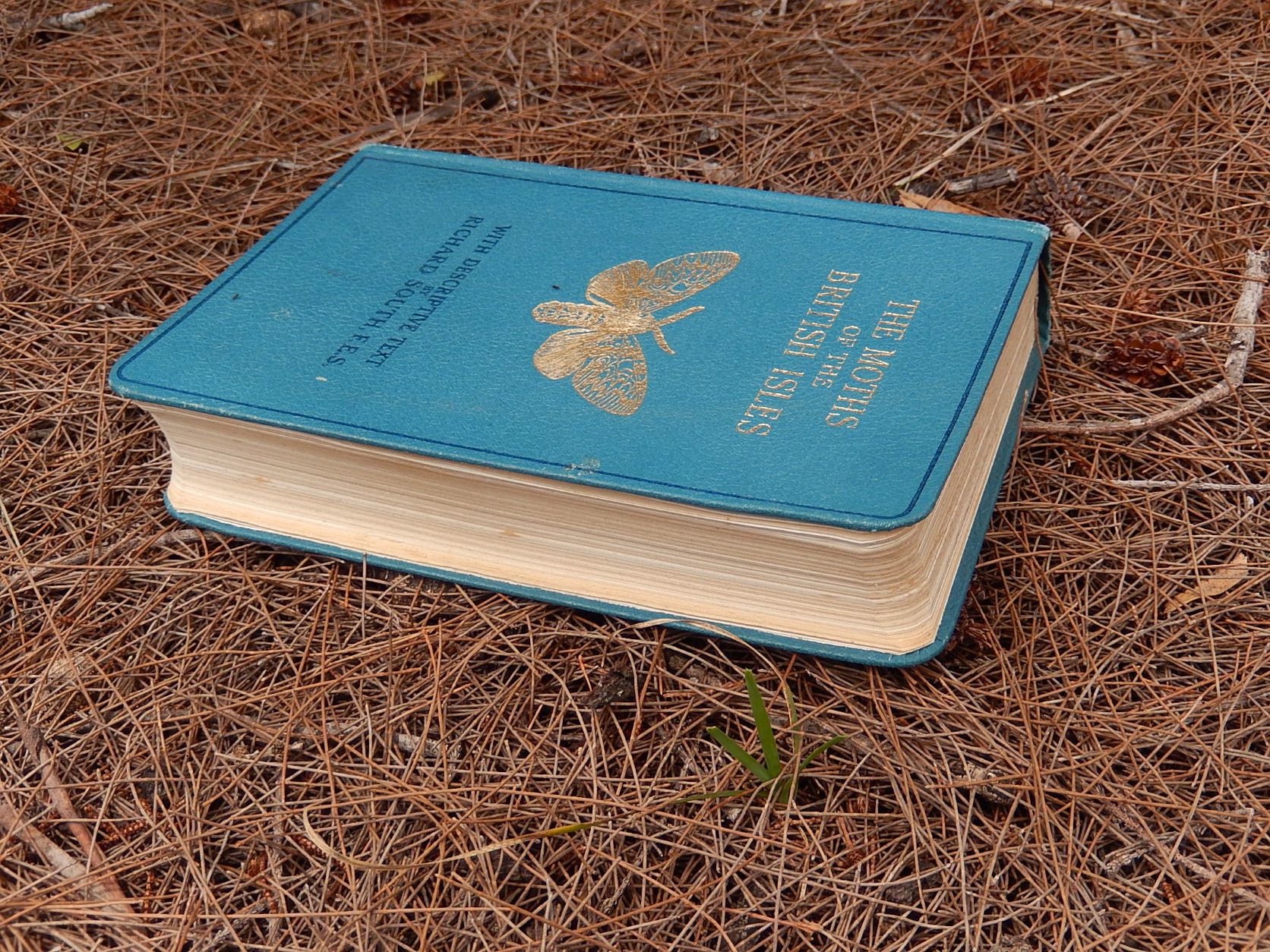 The Moths of the British Isles' by Richard South 1948