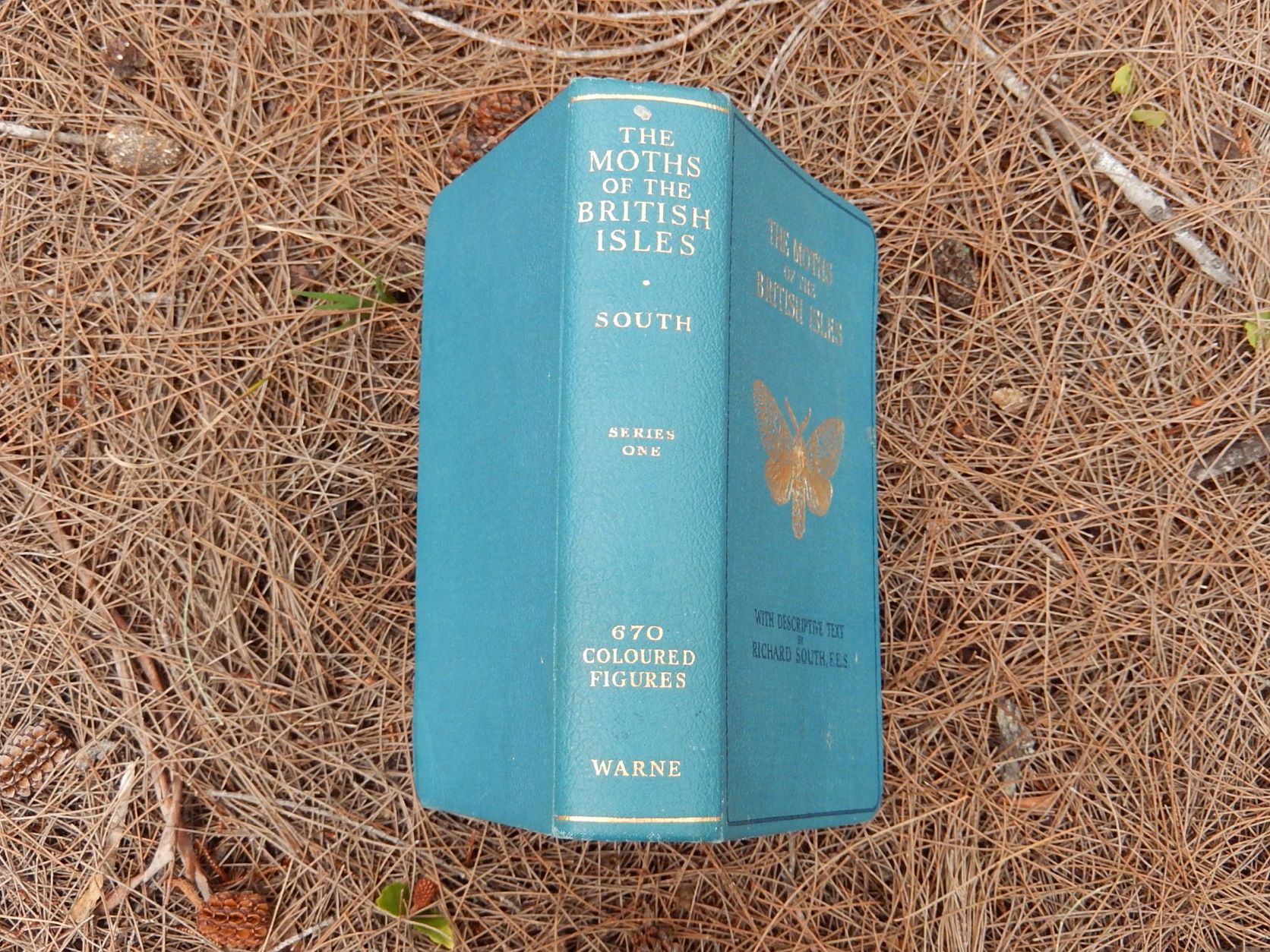 The Moths of the British Isles' by Richard South 1948