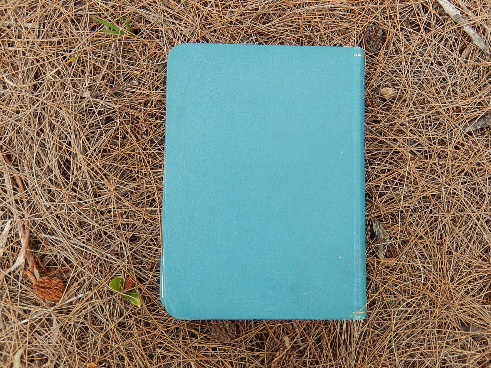 The Moths of the British Isles' by Richard South 1948