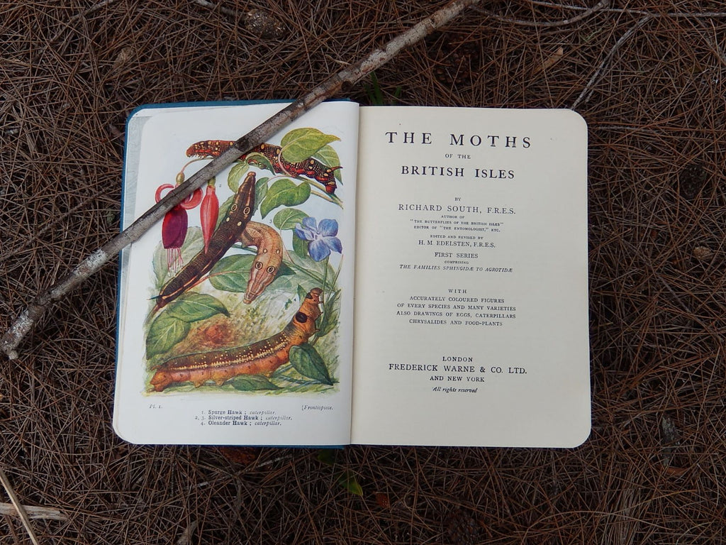 The Moths of the British Isles' by Richard South 1948