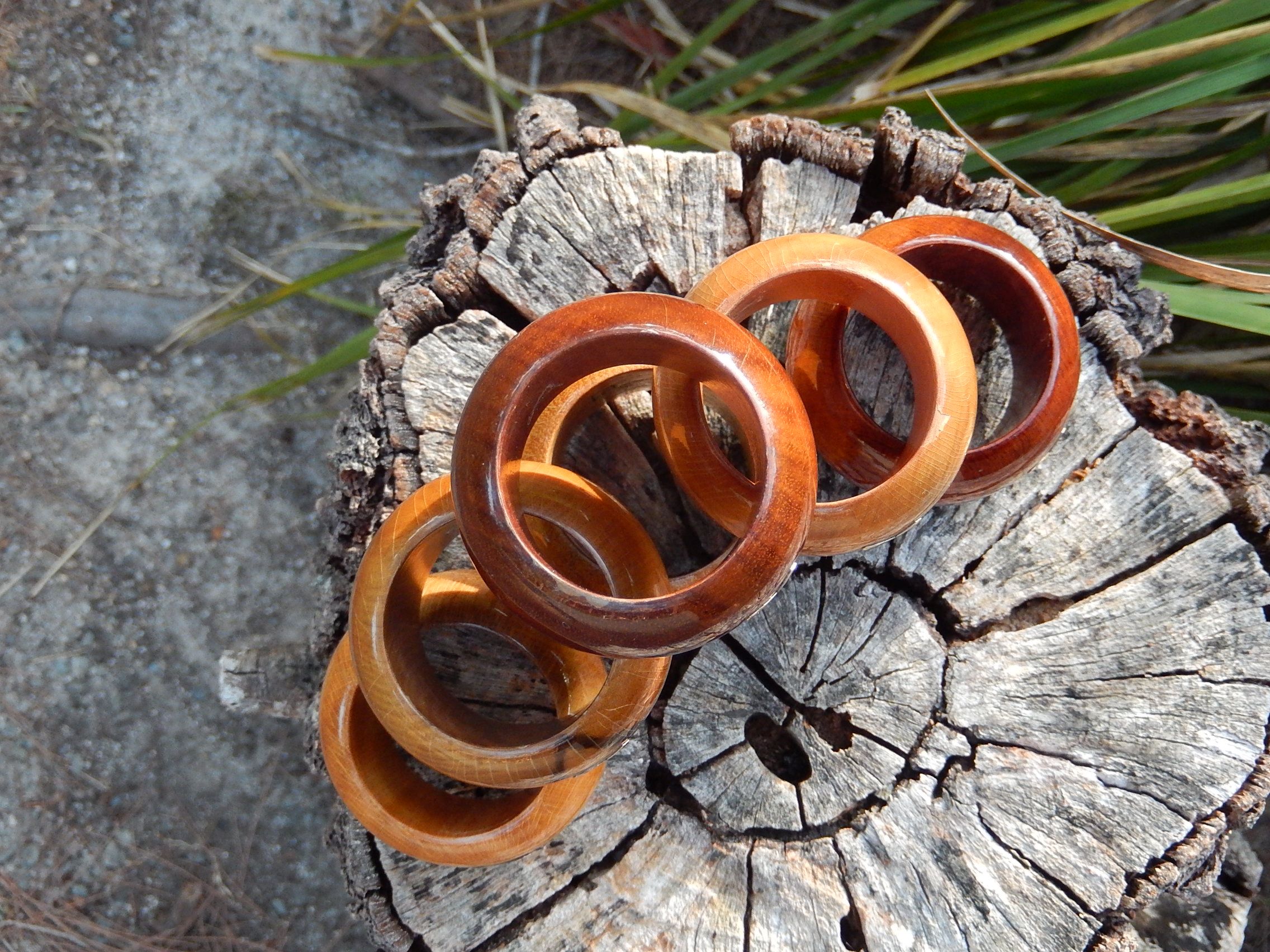 Six Napkin Rings with 9ct Gold Tasmania Map