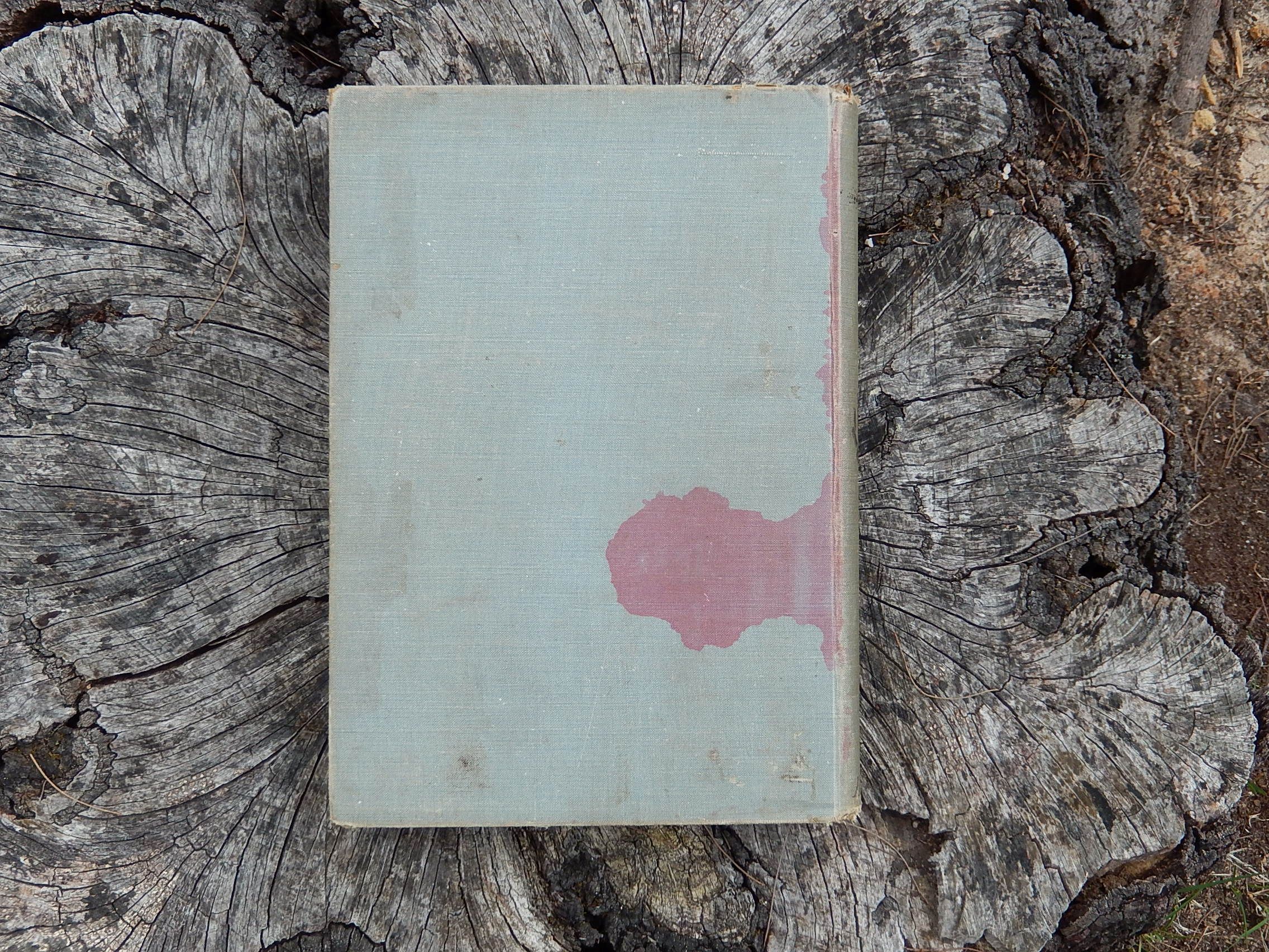 Natal Province Descriptive Guide and Official Hand-Book 1911