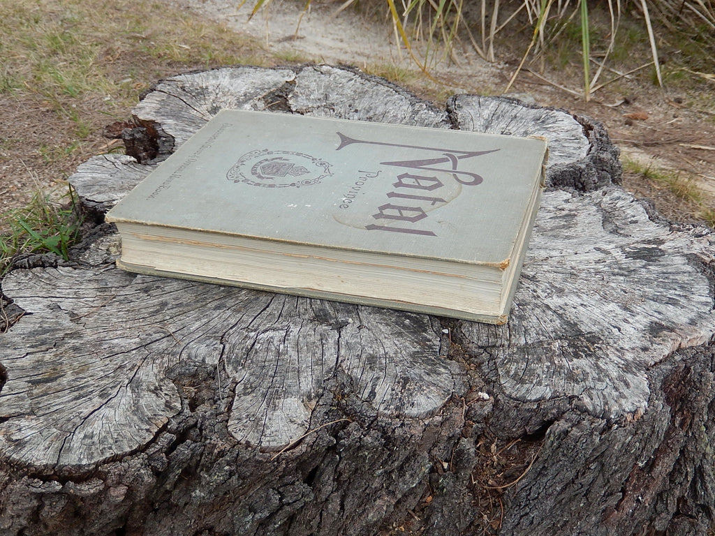 Natal Province Descriptive Guide and Official Hand-Book 1911
