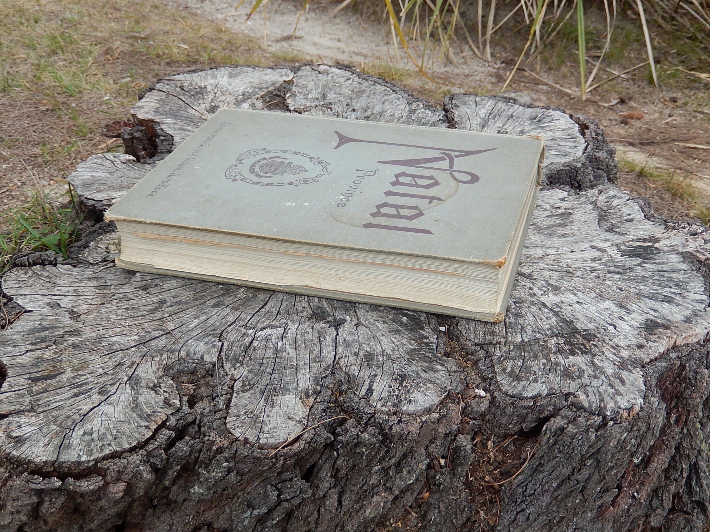Natal Province Descriptive Guide and Official Hand-Book 1911