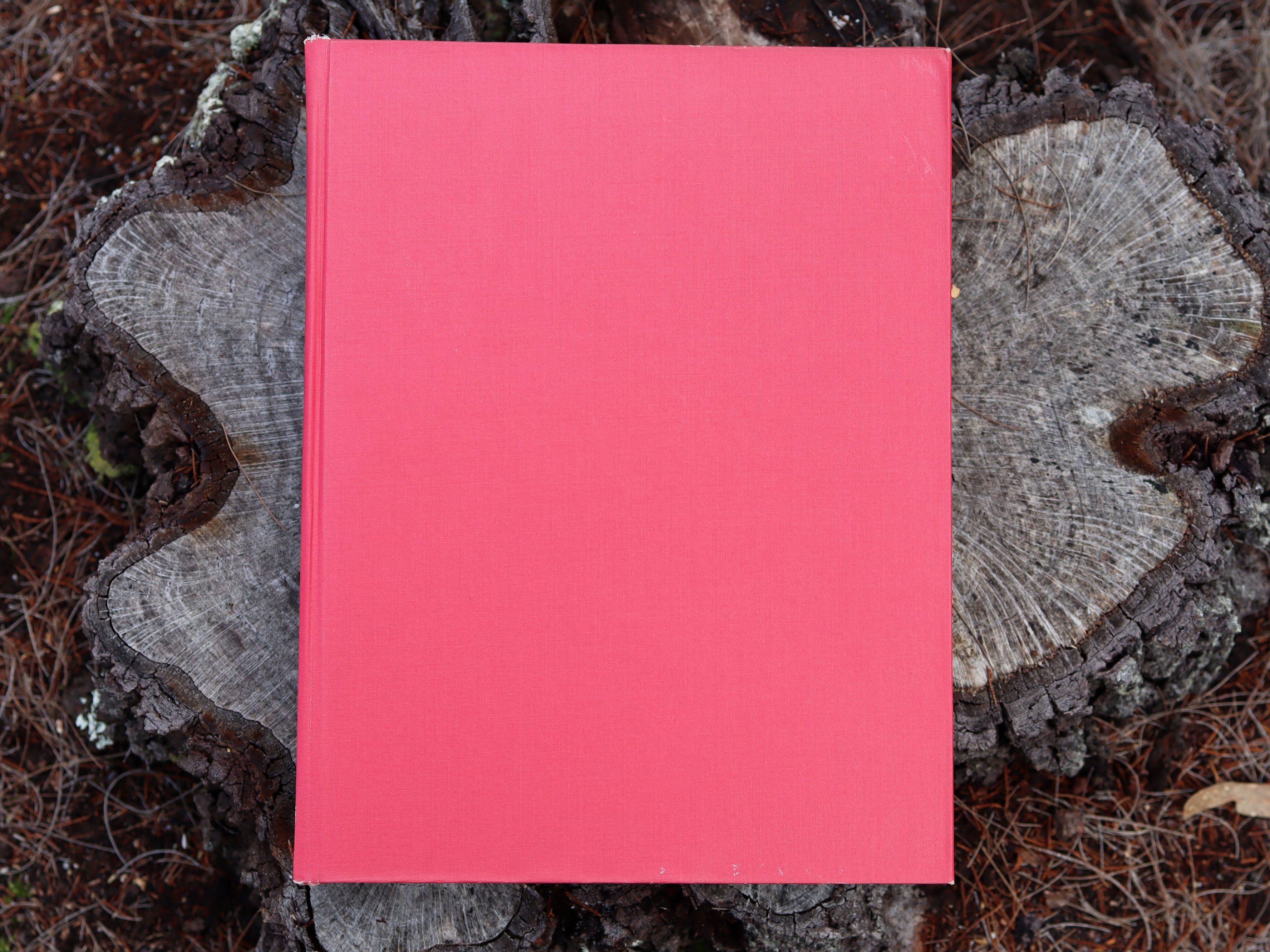 Orchids of Australia First Edition 1969 - W. H. Nicholls