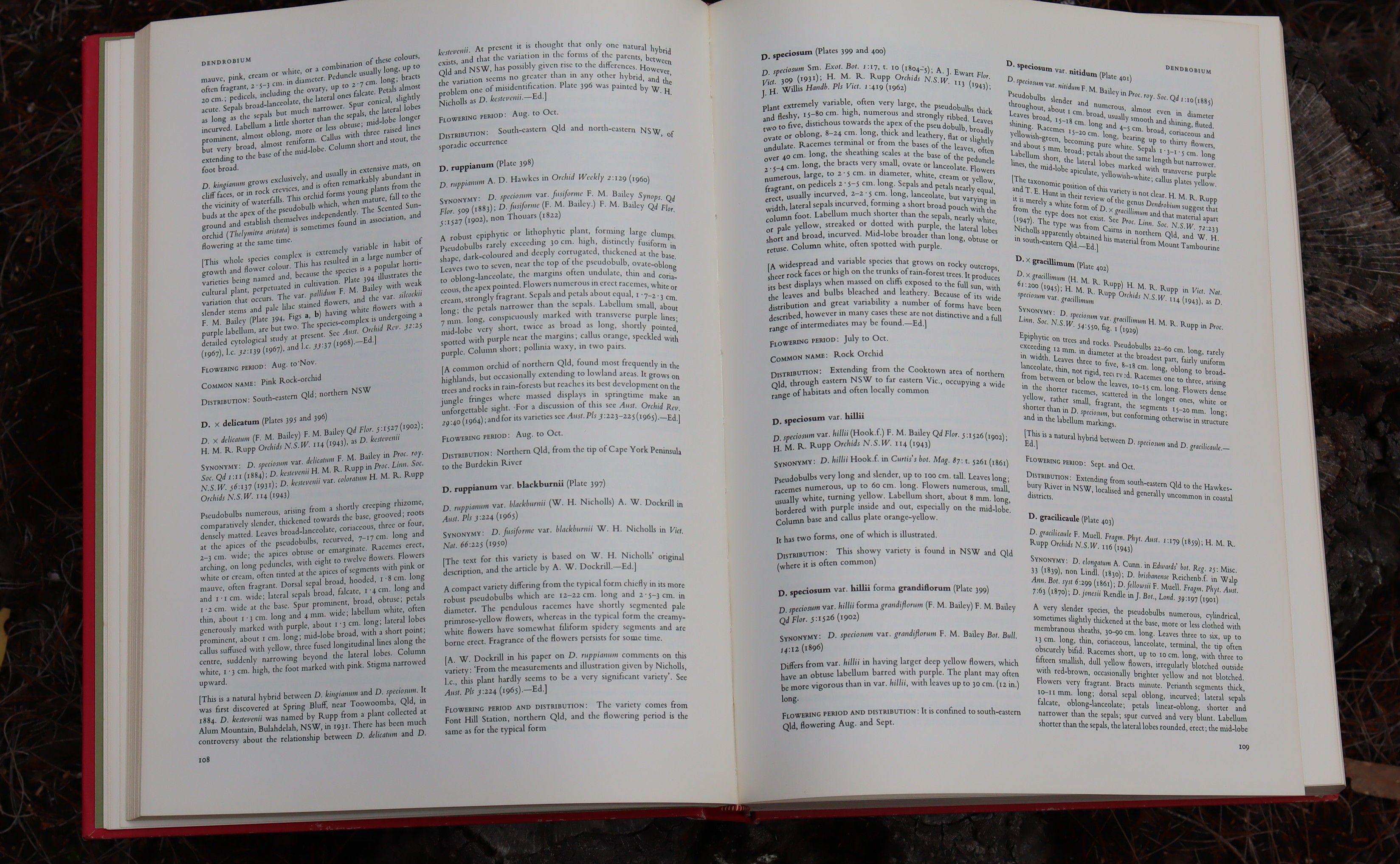 Orchids of Australia First Edition 1969 - W. H. Nicholls