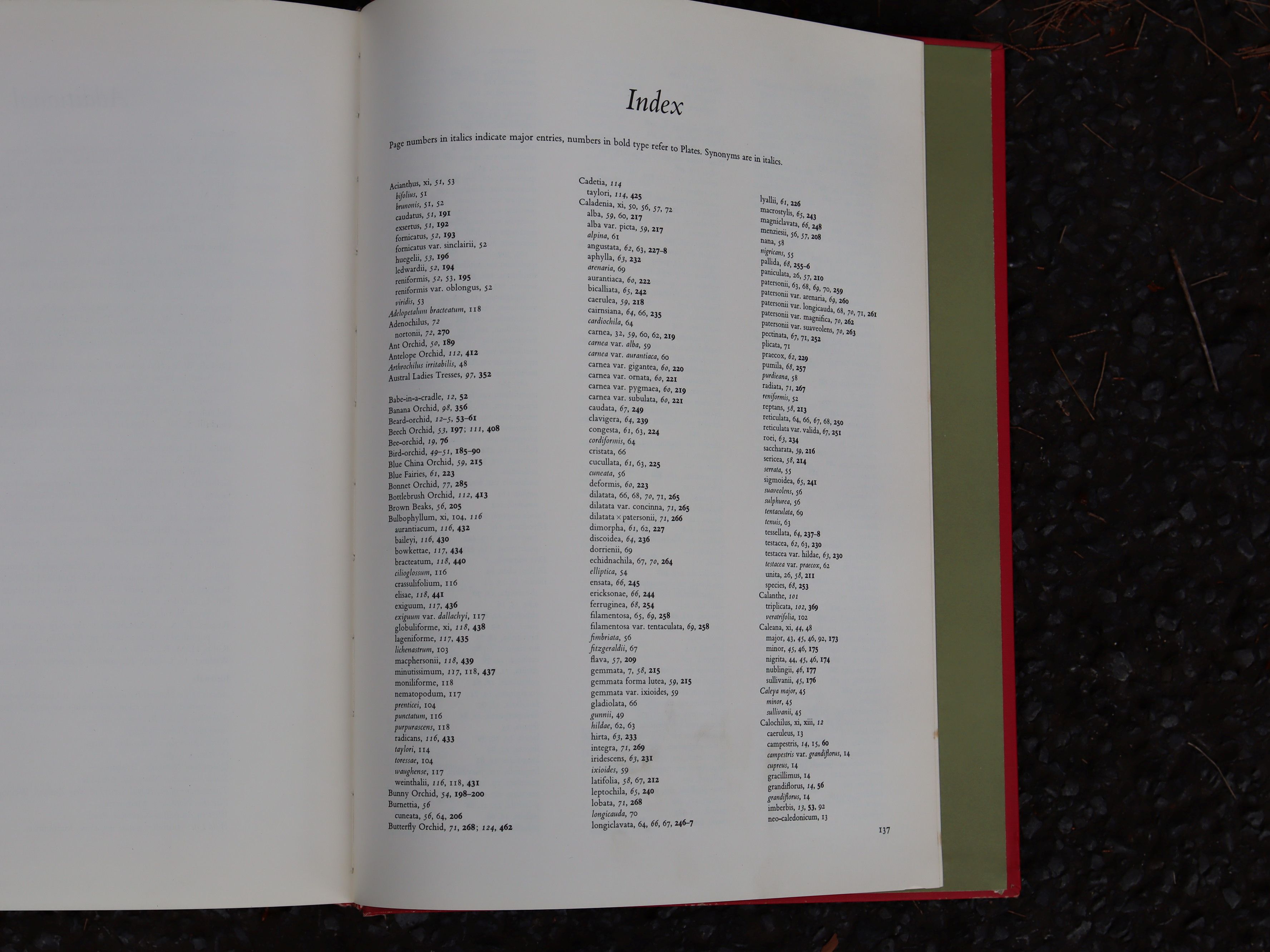 Orchids of Australia First Edition 1969 - W. H. Nicholls