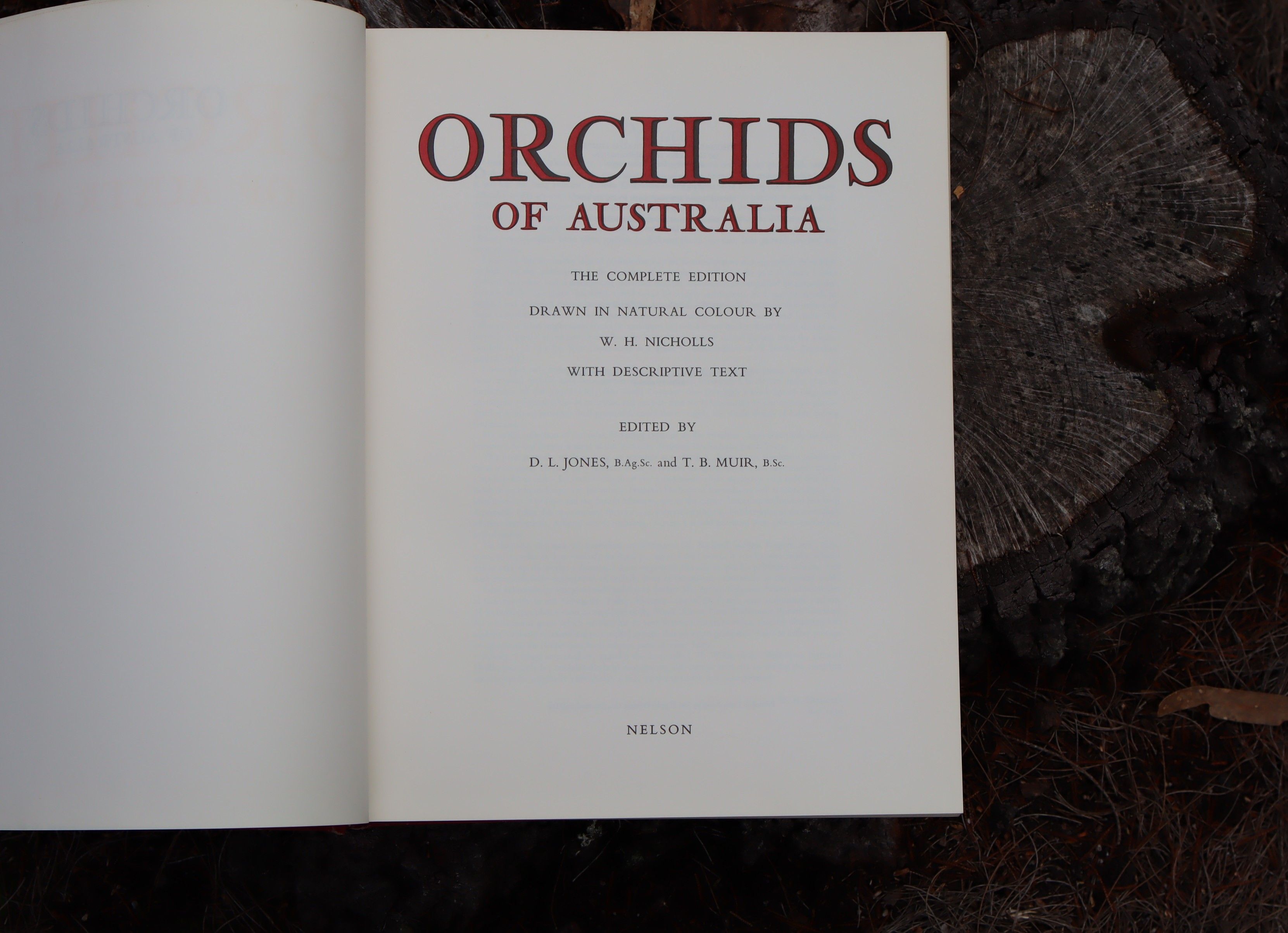 Orchids of Australia First Edition 1969 - W. H. Nicholls