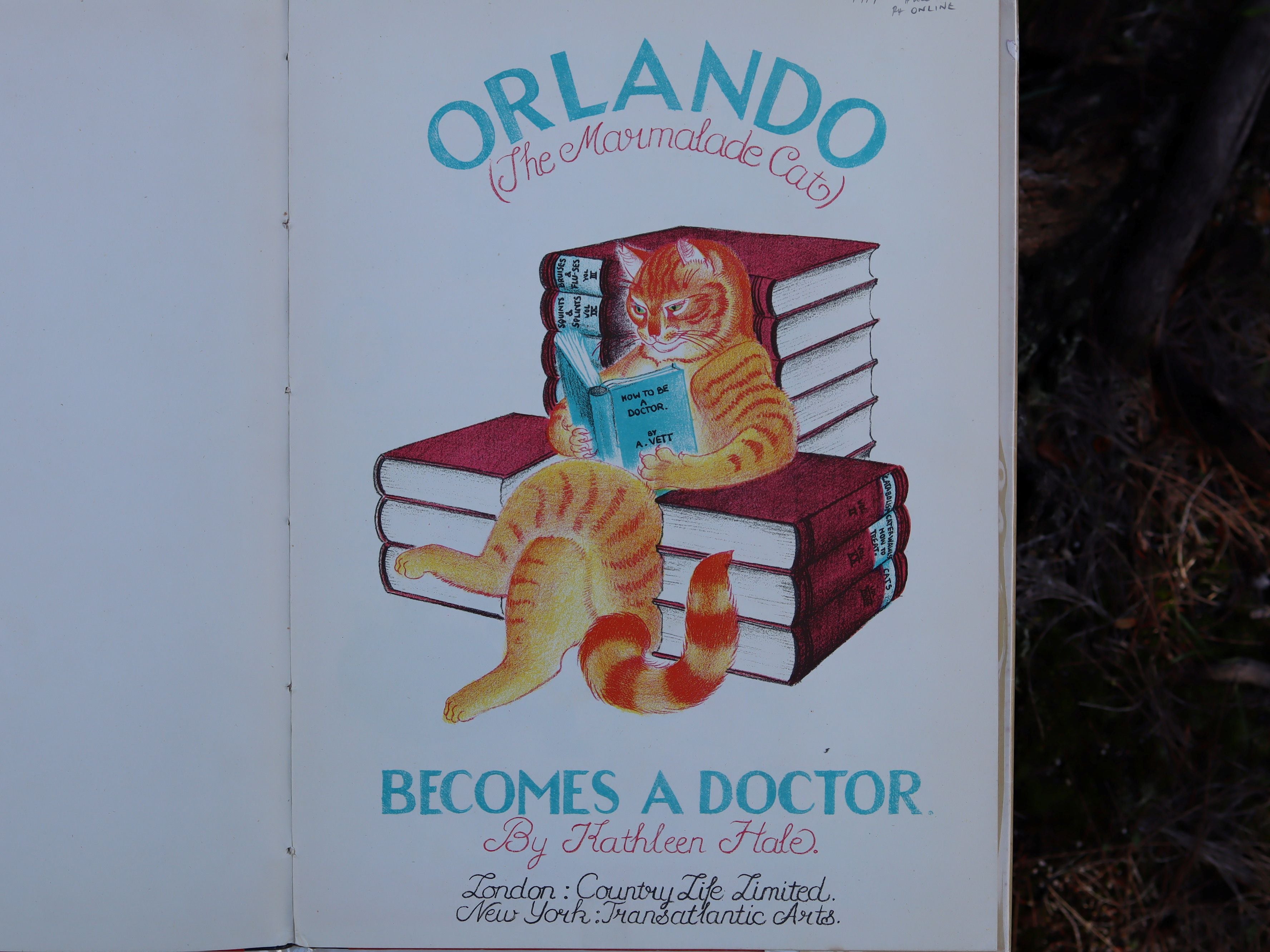 Orlando (The Marmalade Cat) Becomes a Doctor by Kathleen Hale 1949
