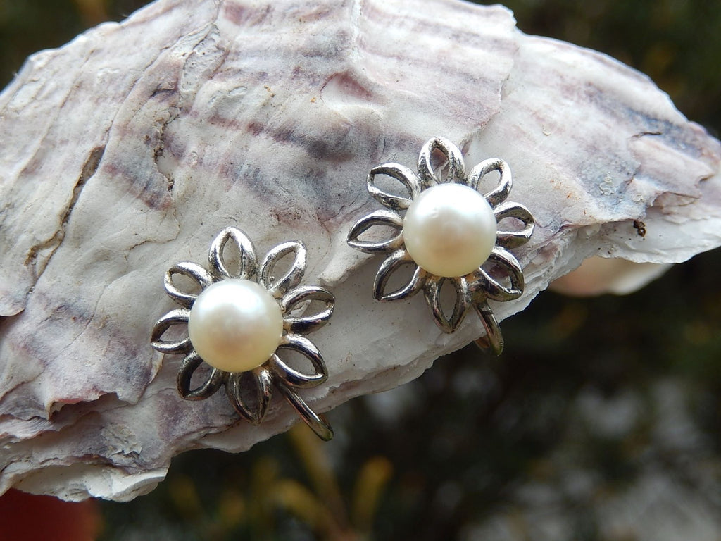 Cultured Pearl Screw back Earrings in Sterling