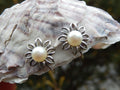 Cultured Pearl Screw back Earrings in Sterling