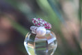 Pearl and Ruby Ring in Sterling Silver