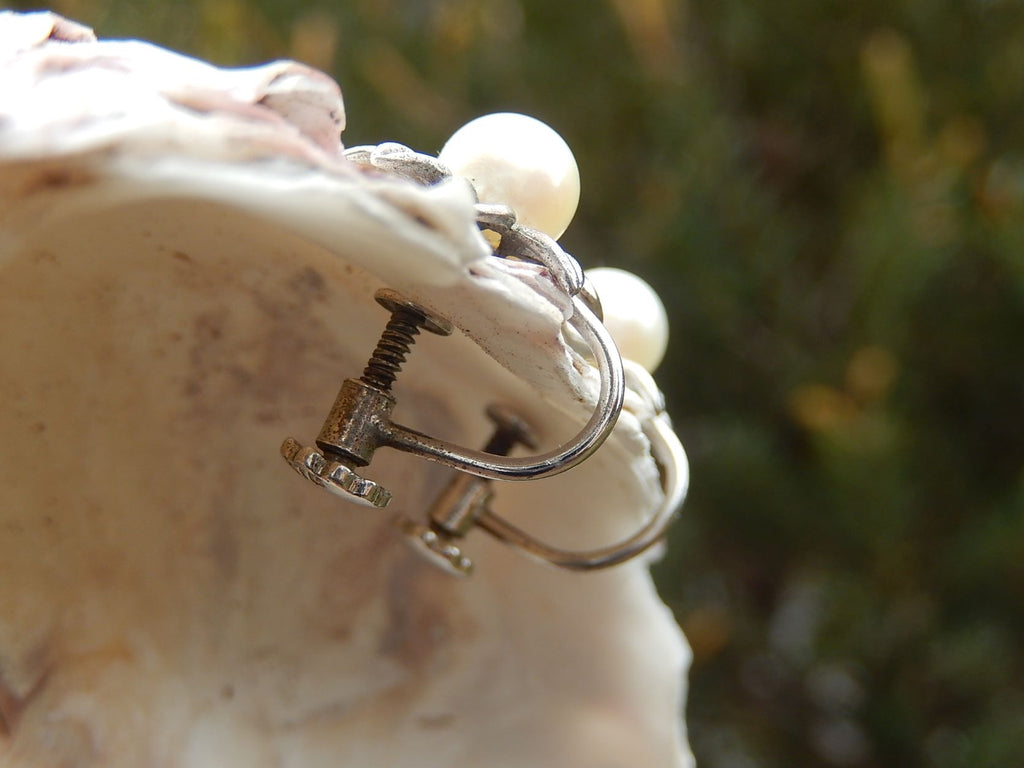 Cultured Pearl Screw back Earrings in Sterling
