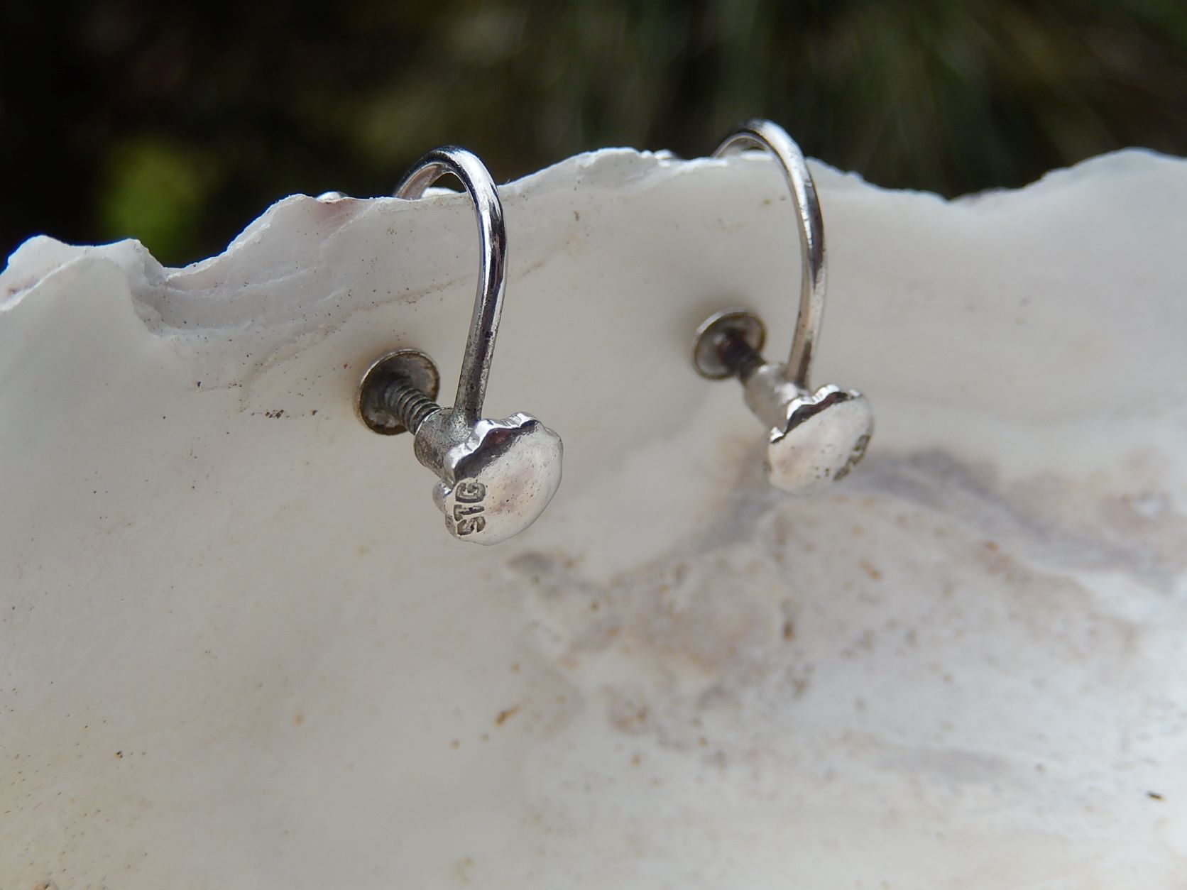 Cultured Pearl Screw back Earrings in Sterling