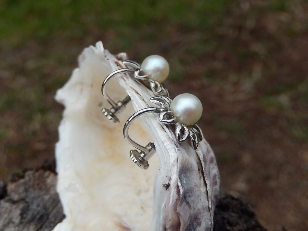 Cultured Pearl Screw back Earrings in Sterling
