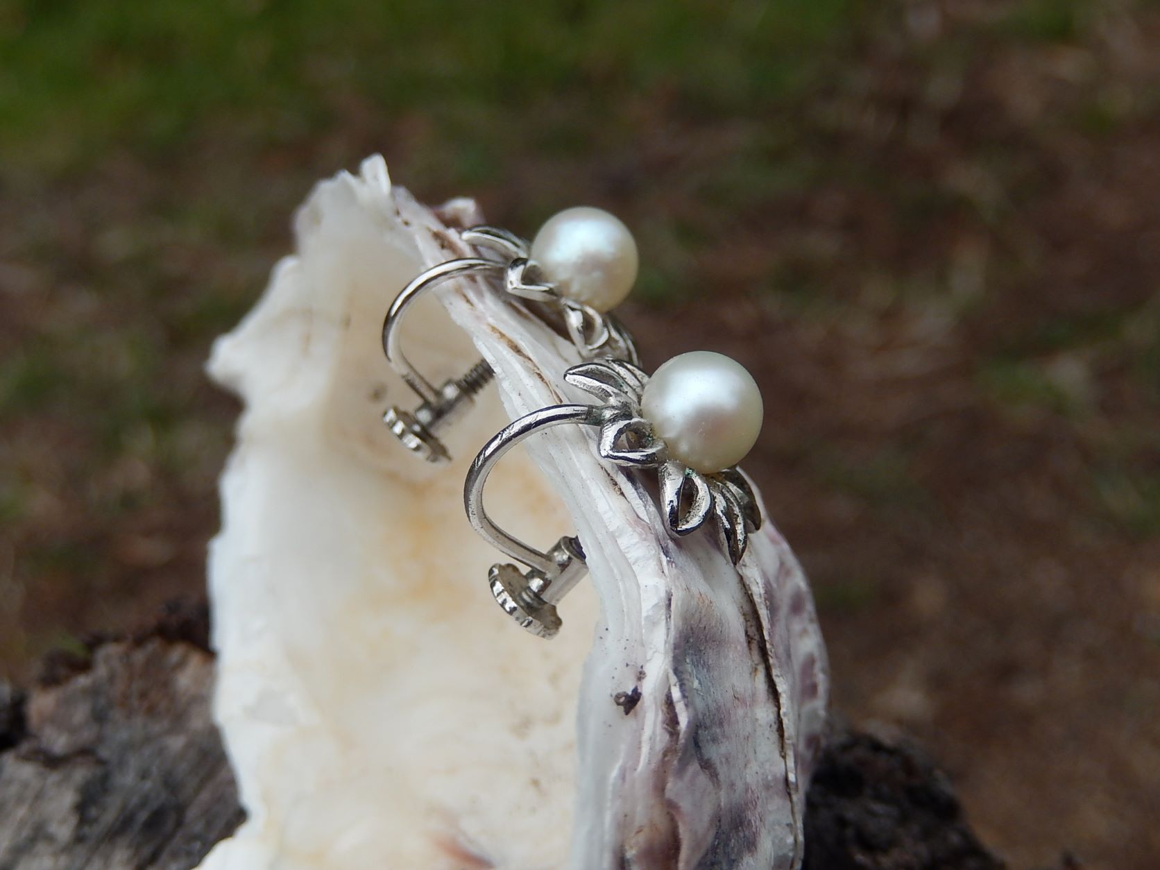 Cultured Pearl Screw back Earrings in Sterling