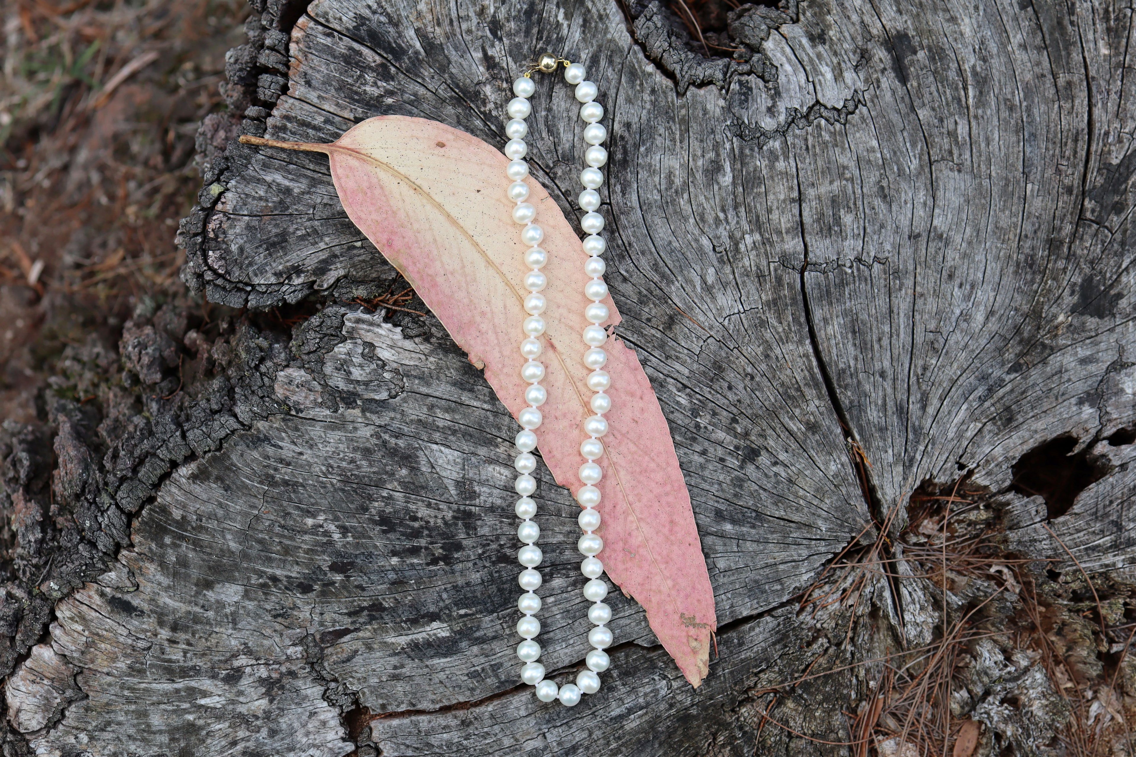 South Sea Cultured Pearls with 9ct Clasp