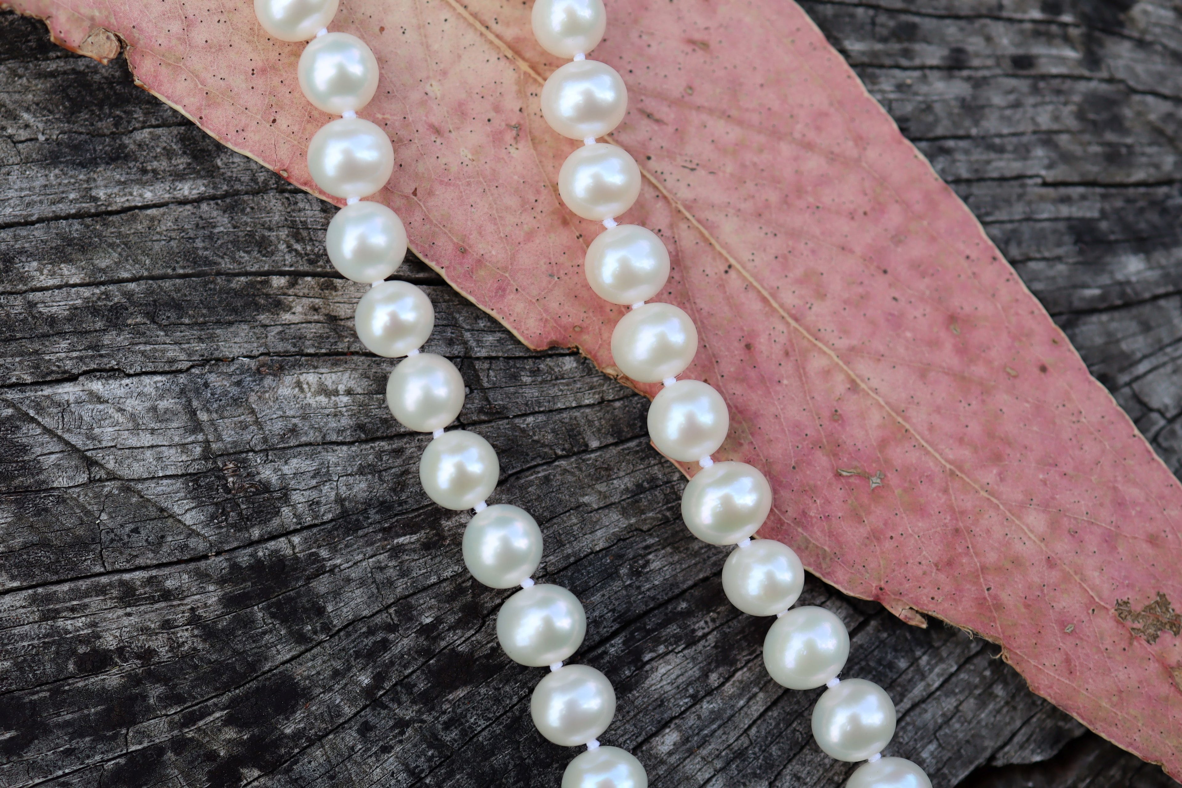 South Sea Cultured Pearls with 9ct Clasp